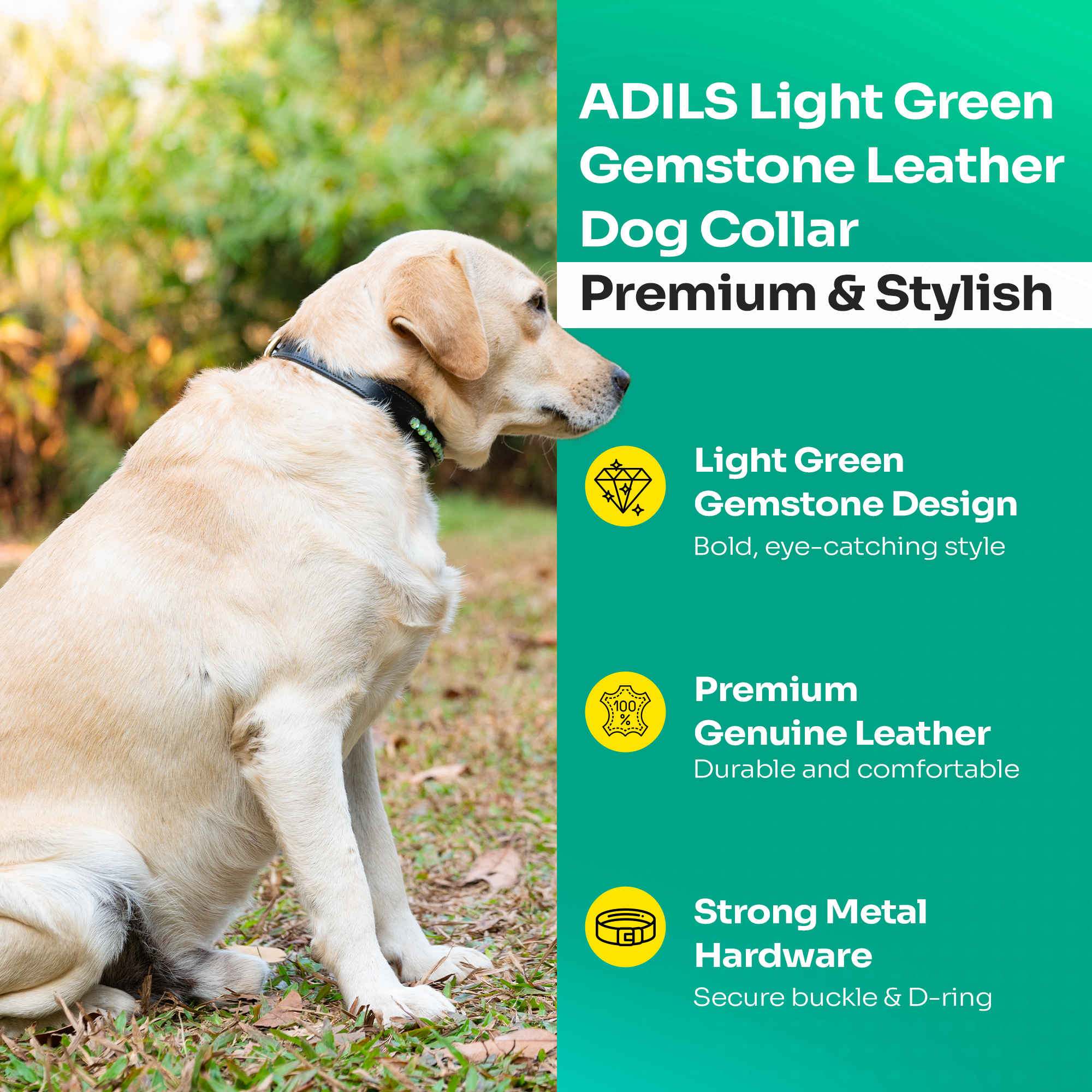 Adil’s Crystal Dog Collar, 1 inch Wide Green Gemstone Chain Leather Dog Collars for Small Medium Large Dogs, Adjustable Collars with Strong Metal Buckle & D-Ring