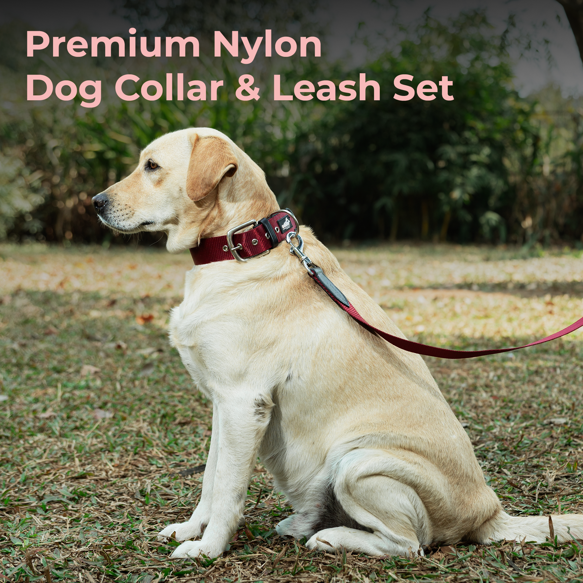 Adil’s Nylon Dog Collar & Leash Combo Set 1.5 Inch Wide Adjustable Collar with Strong Metal Buckle & D-Ring, 5 Ft Durable Leash with 360° Swivel Hook Pets