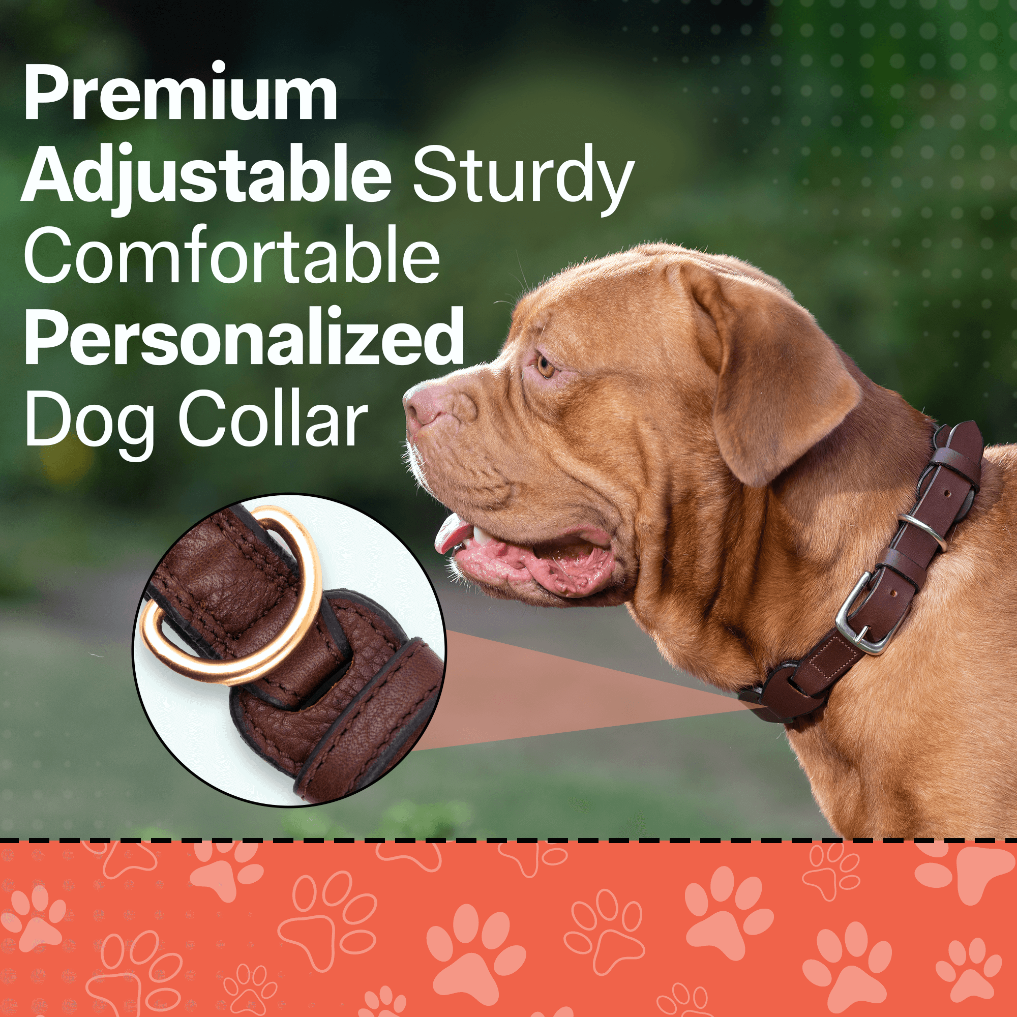 Adil's Leather Personalized Dog Collar (Softy Leather) – 1.5 Inch Wide