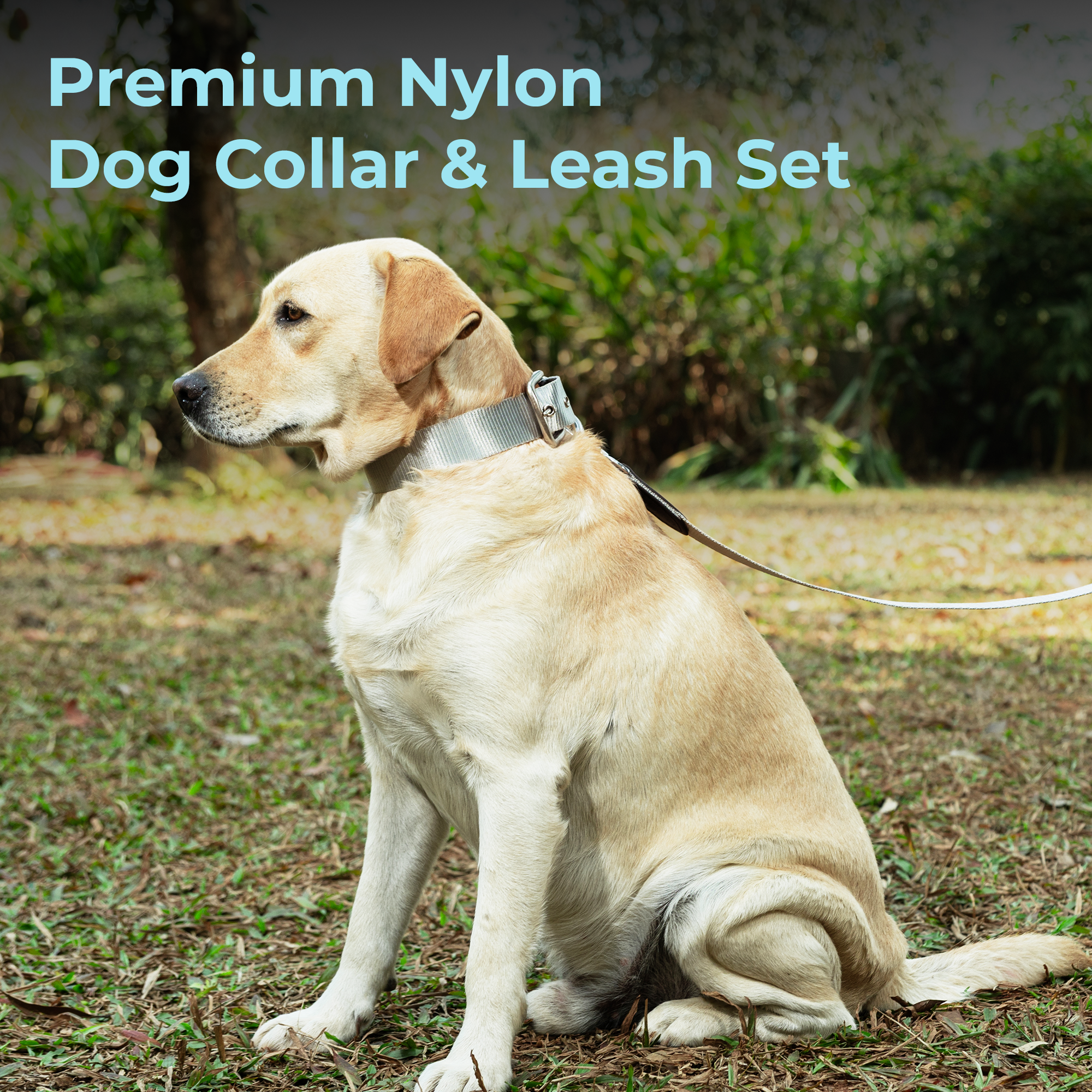 Adil’s Nylon Dog Collar & Leash Combo Set 1.5 Inch Wide Adjustable Collar with Strong Metal Buckle & D-Ring, 5 Ft Durable Leash with 360° Swivel Hook Pets