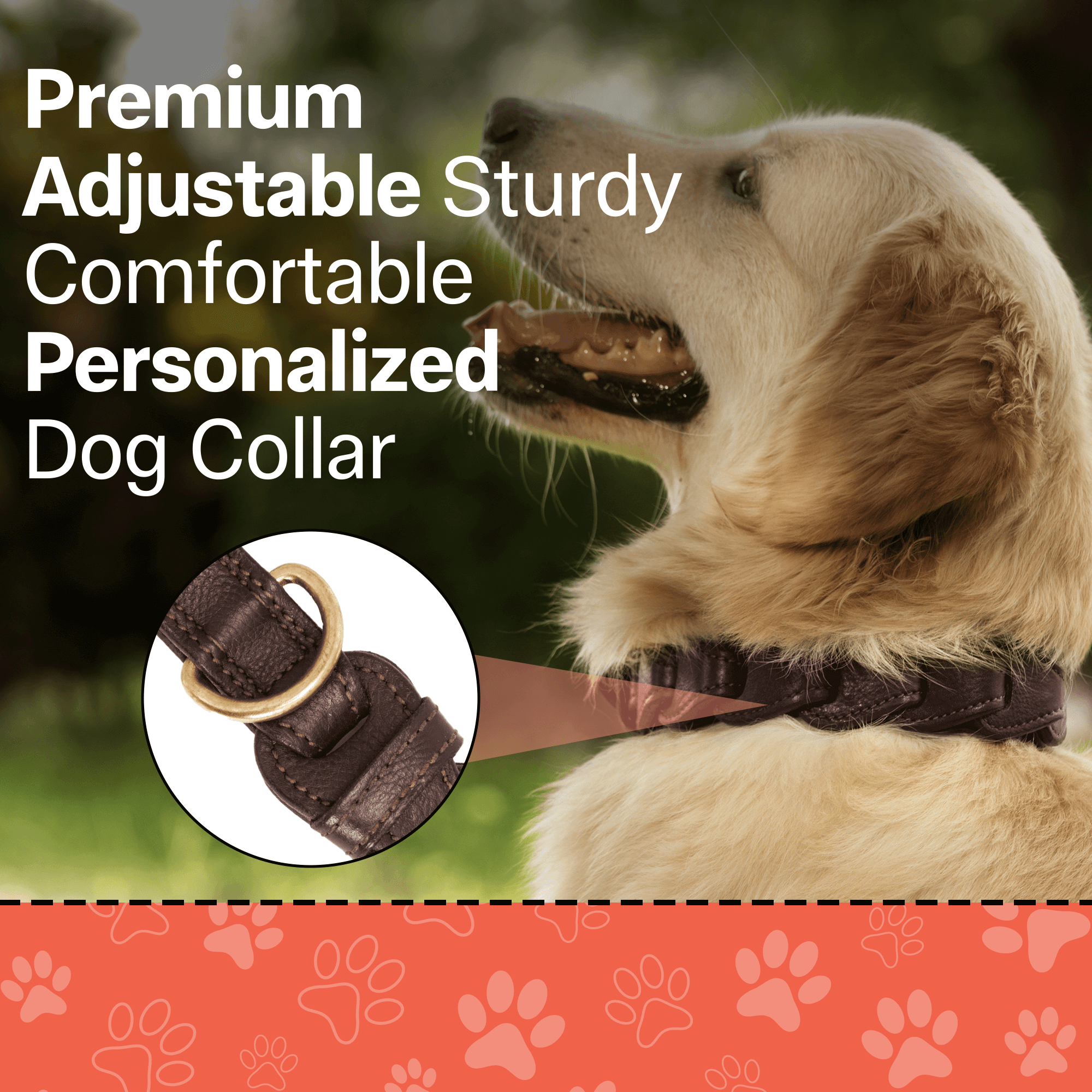 Adil's Leather Personalized Dog Collar (Softy Leather) – 1.5 Inch Wide