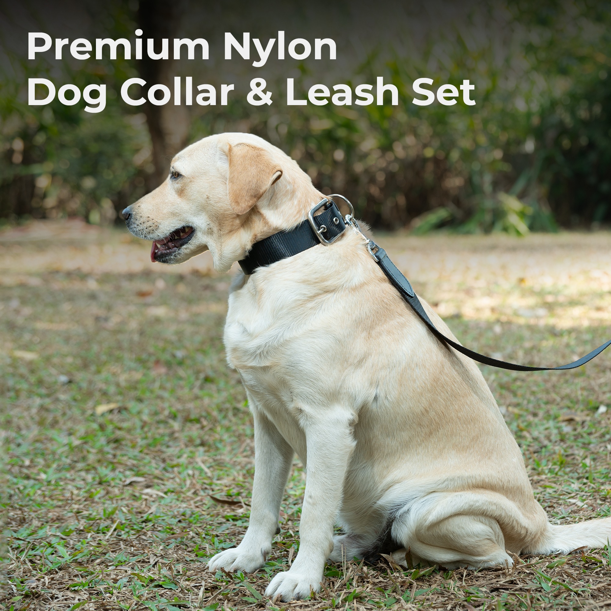 Adil’s Nylon Dog Collar & Leash Combo Set 1.5 Inch Wide Adjustable Collar with Strong Metal Buckle & D-Ring, 5 Ft Durable Leash with 360° Swivel Hook Pets