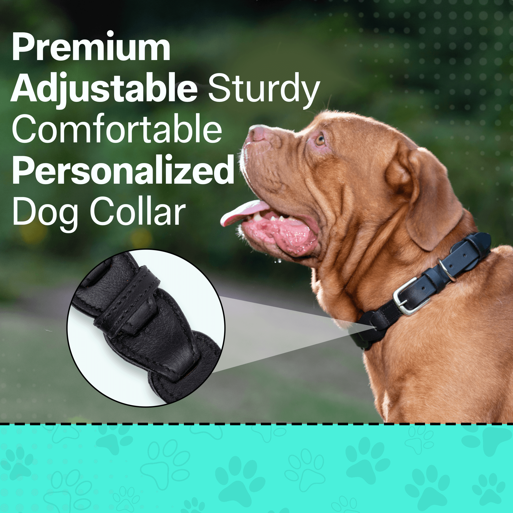 Adil's Leather Personalized Dog Collar (Softy Leather) – 1.5 Inch Wide