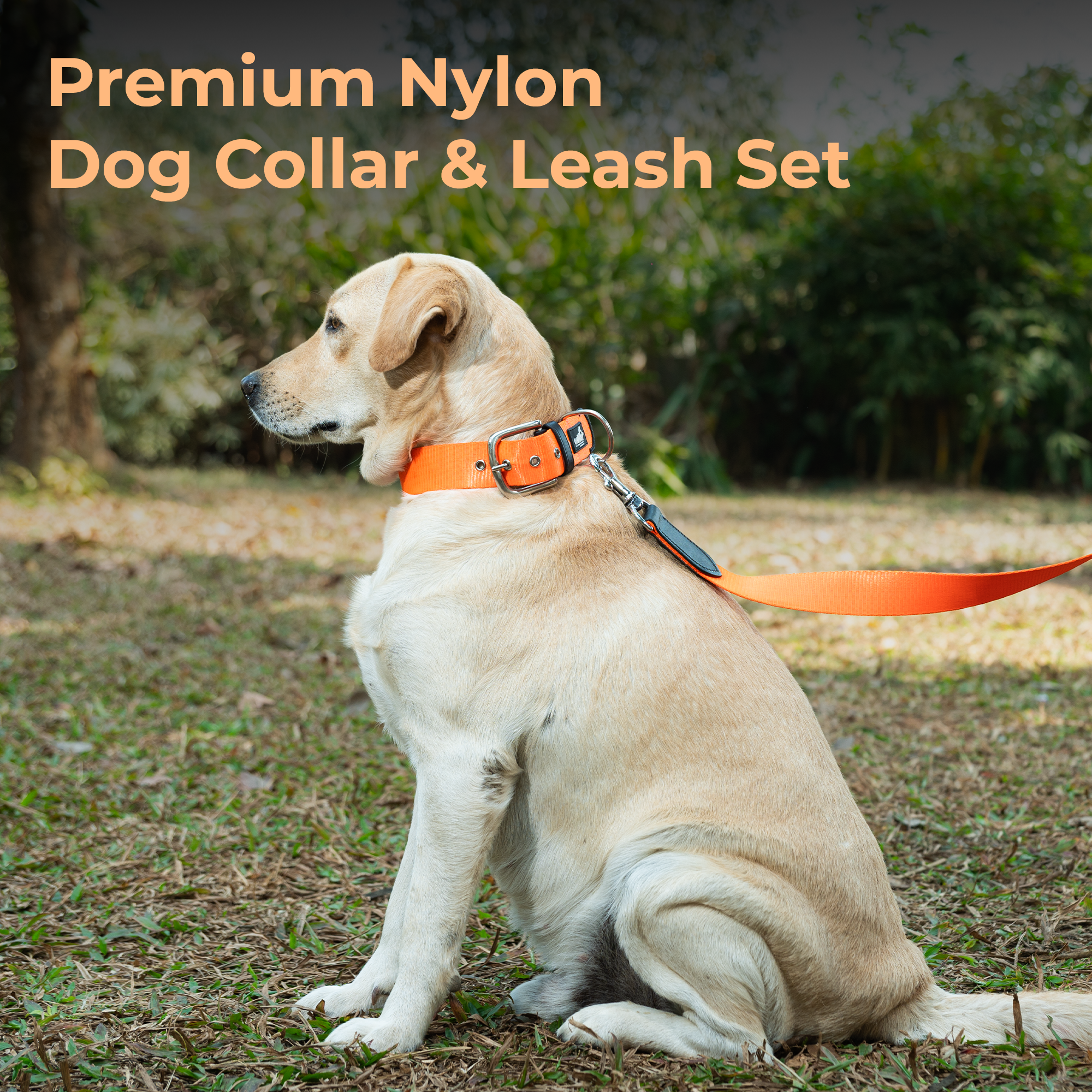 Adil’s Nylon Dog Collar & Leash Combo Set 1.5 Inch Wide Adjustable Collar with Strong Metal Buckle & D-Ring, 5 Ft Durable Leash with 360° Swivel Hook Pets