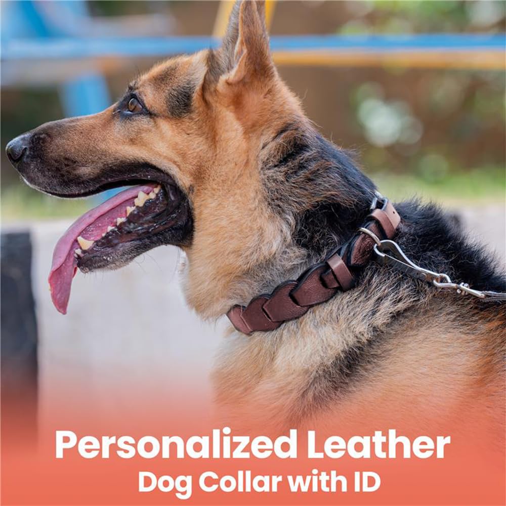 Adil’S Soft Leather Personalized Dog Collar for Large Medium Small Dogs Neck Collar with Personalized Dog Name in Neck Size 12 Inch to 26 Inch
