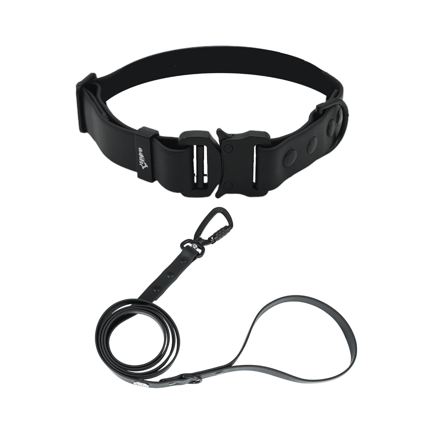 Biothane Combo Dog Collar & Leash