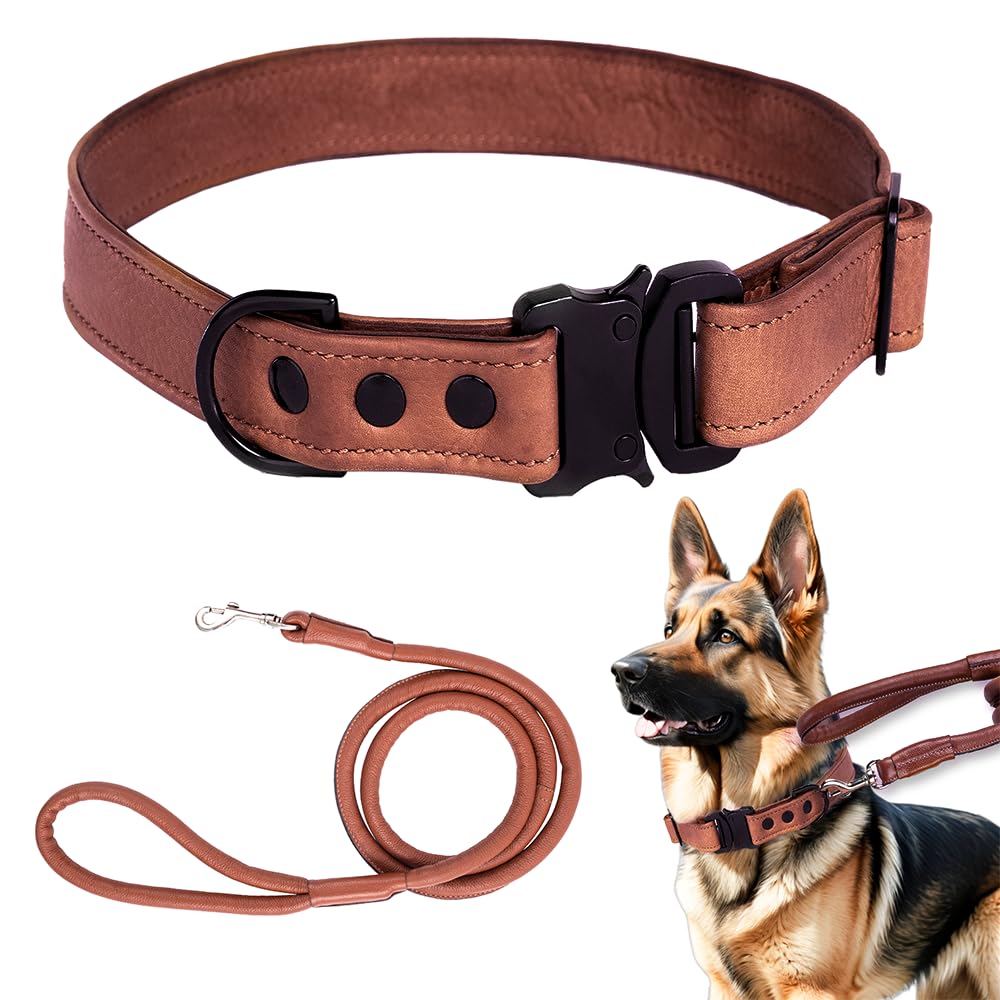 Adil's Softy Leather Dog Collar & Leash Set