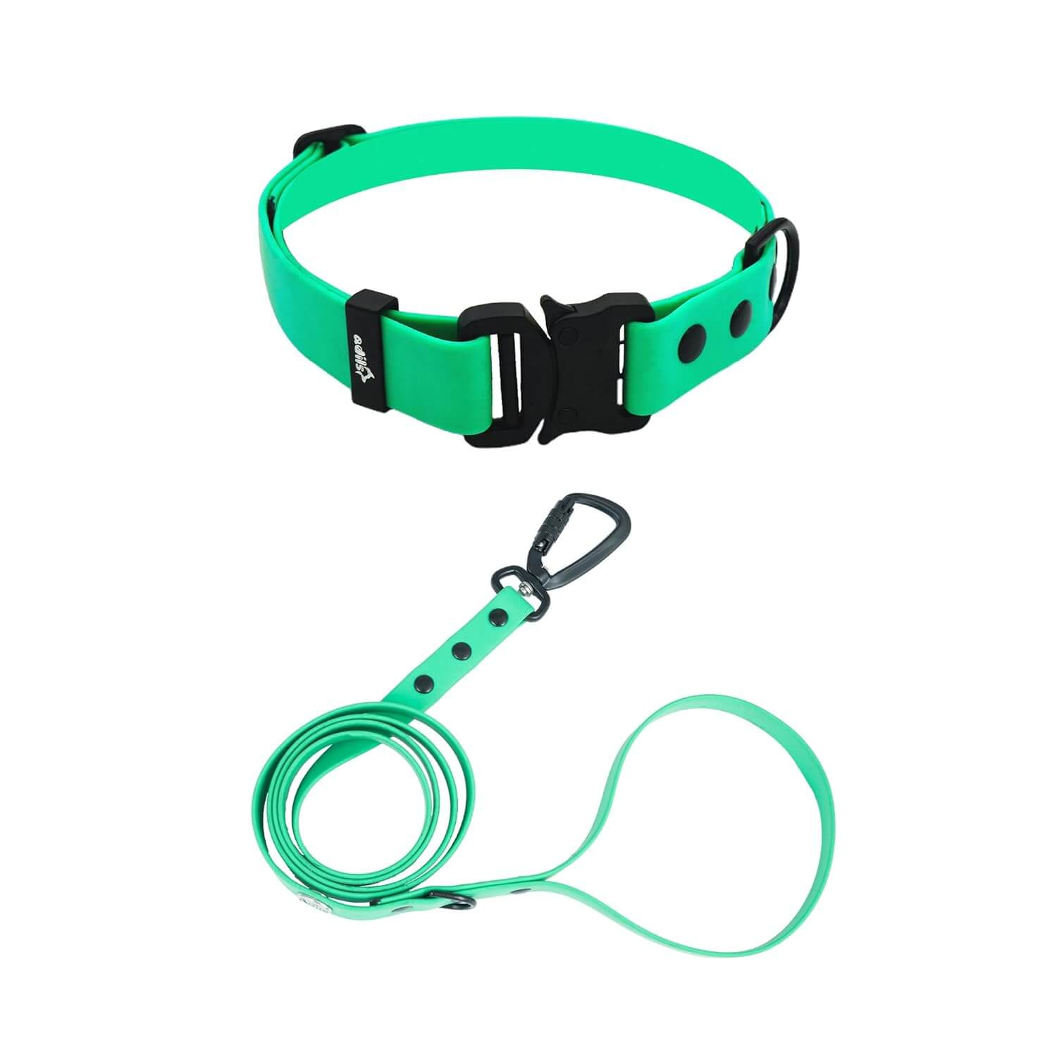 Biothane Combo Dog Collar & Leash