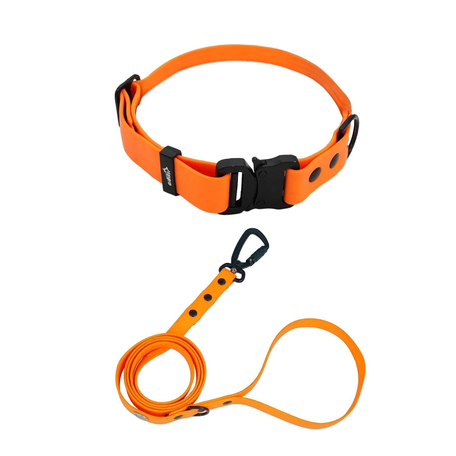 Biothane Combo Dog Collar & Leash