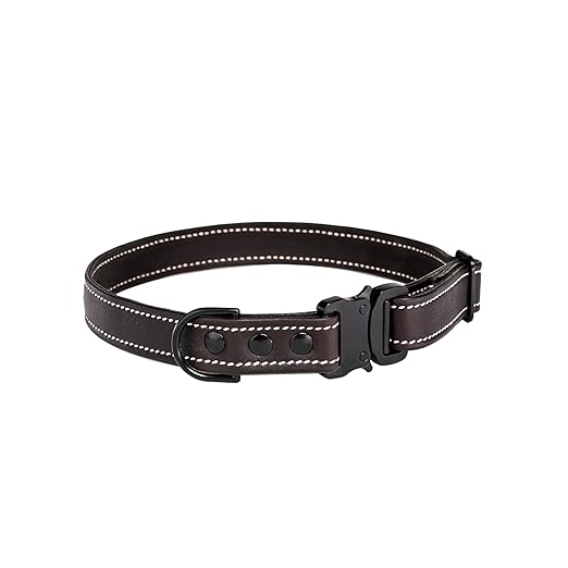 Adil’S Softy Leather Dog Collar 1inch, Dog Neck Belt for Medium to Large Pets – Leather Collars for Dog, Neck Adjustable 12-26 Inch