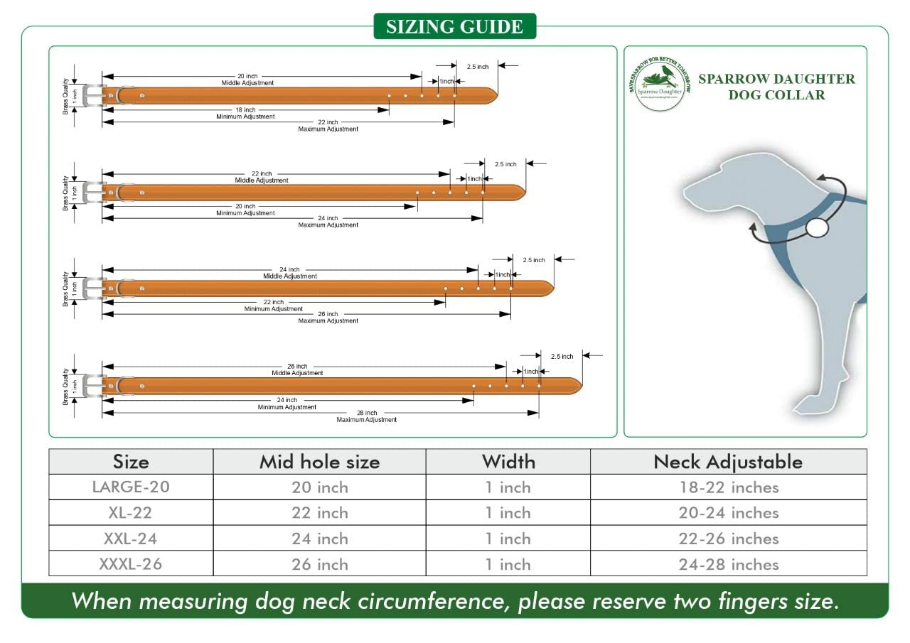 Leather Comfortable, Lightweight Hand Tooling Design Dog Collar for All Breeds | Neck Belt with Adjustable Buckle- Natural White (24x1.5 Inch)
