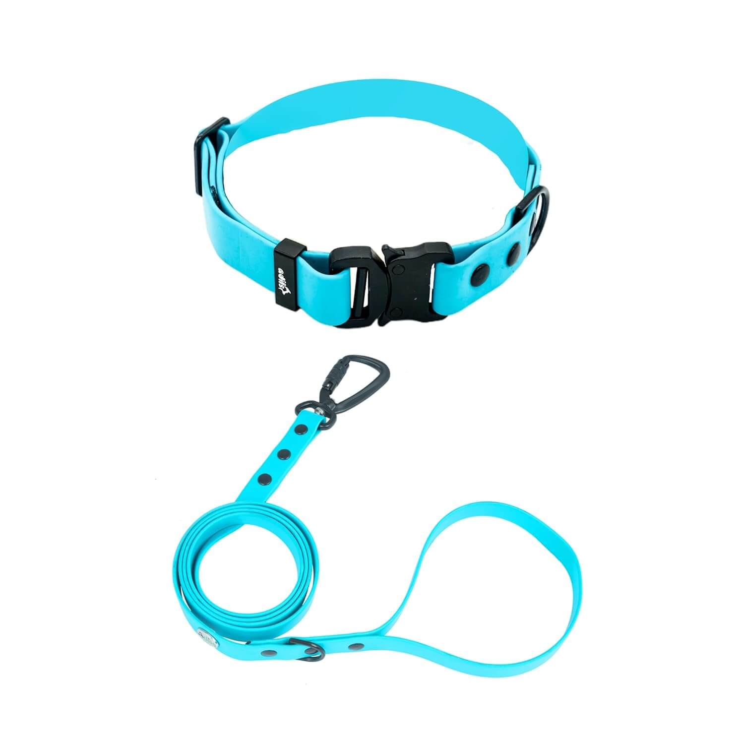 Biothane Combo Dog Collar & Leash