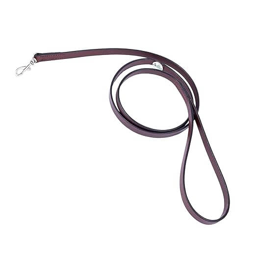 Adil’S Leather Cat Leash – Durable, Stylish & Comfortable Genuine Leather 4ft Long Leash with Secure Trigger Snap Hook for Safe Walks and Outdoor Adventures