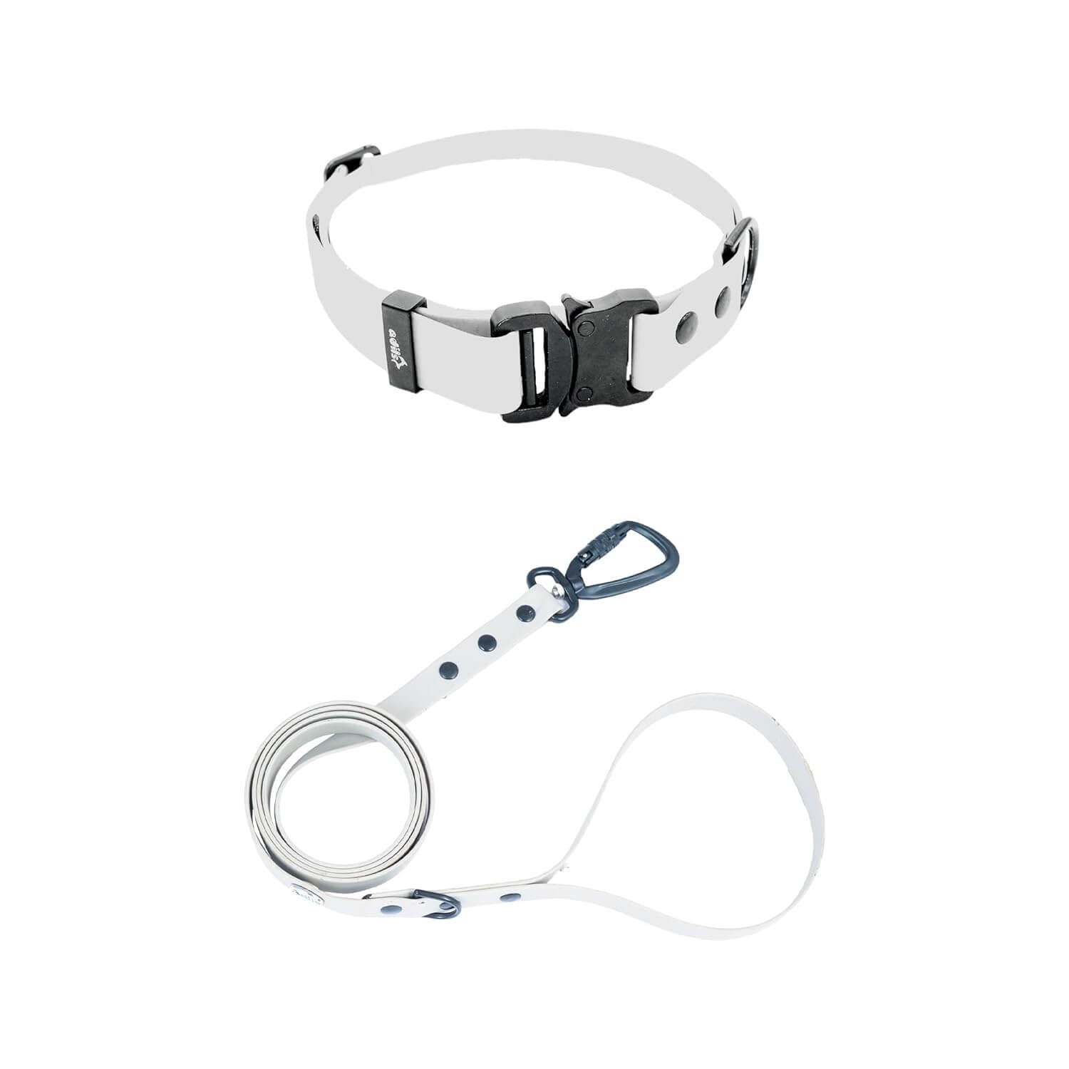 Biothane Combo Dog Collar & Leash