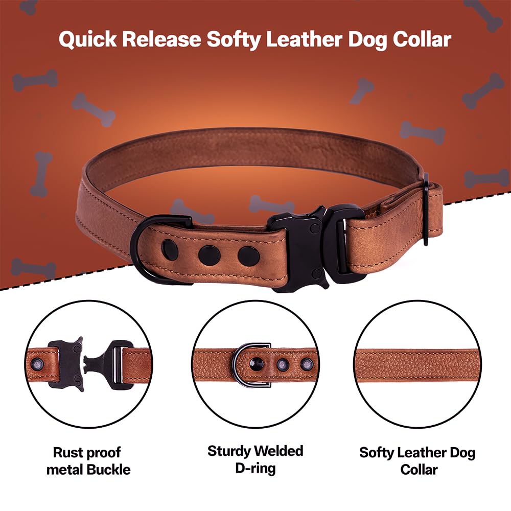 Adil's Softy Leather Dog Collar & Leash Set