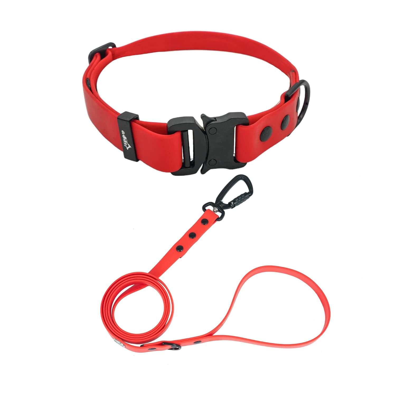 Biothane Combo Dog Collar & Leash