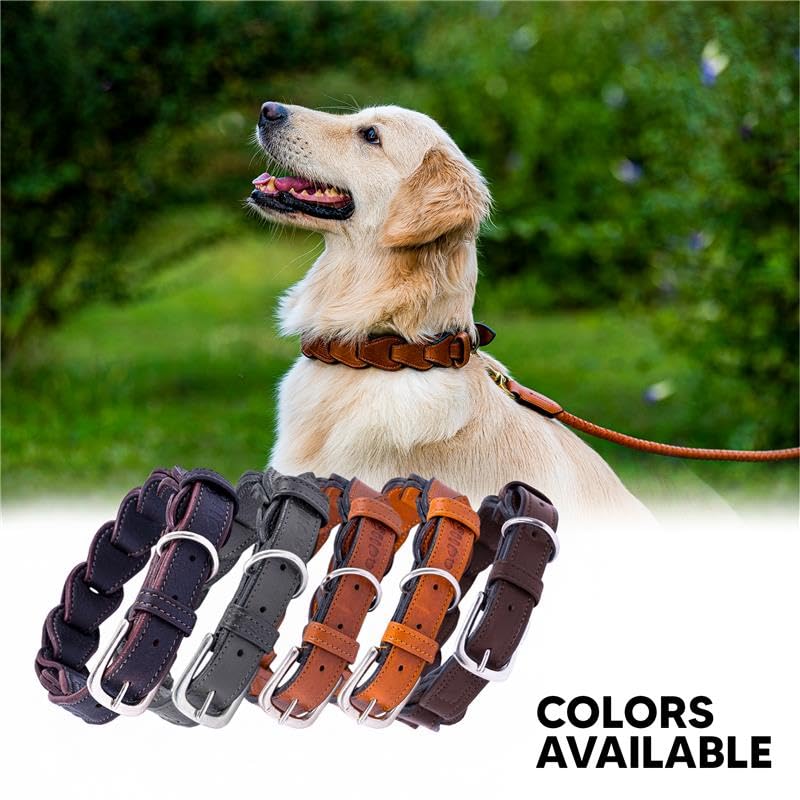 Adil’S Genuine Leather Loop Dog Collar – Handmade, Heavy-Duty, Soft Padded & Adjustable – Durable Braided Leather Collar Dogs
