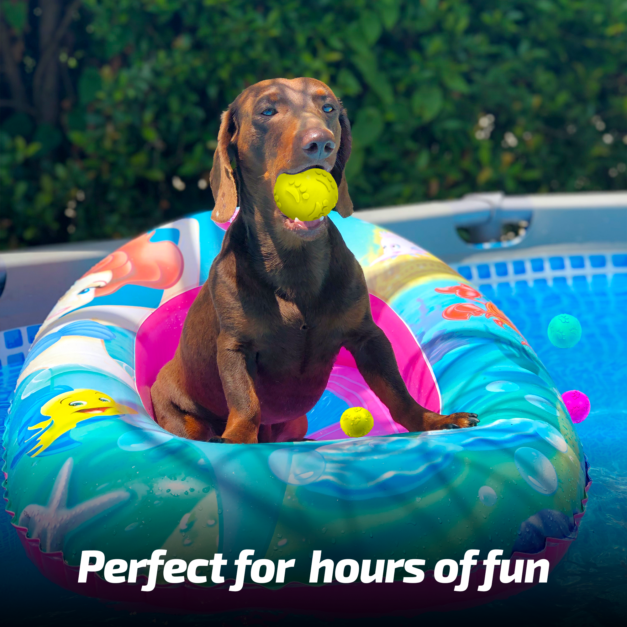 ADIL'S Natural Latex Dog Chews Ball Toy for Small to Medium Dogs & Puppies