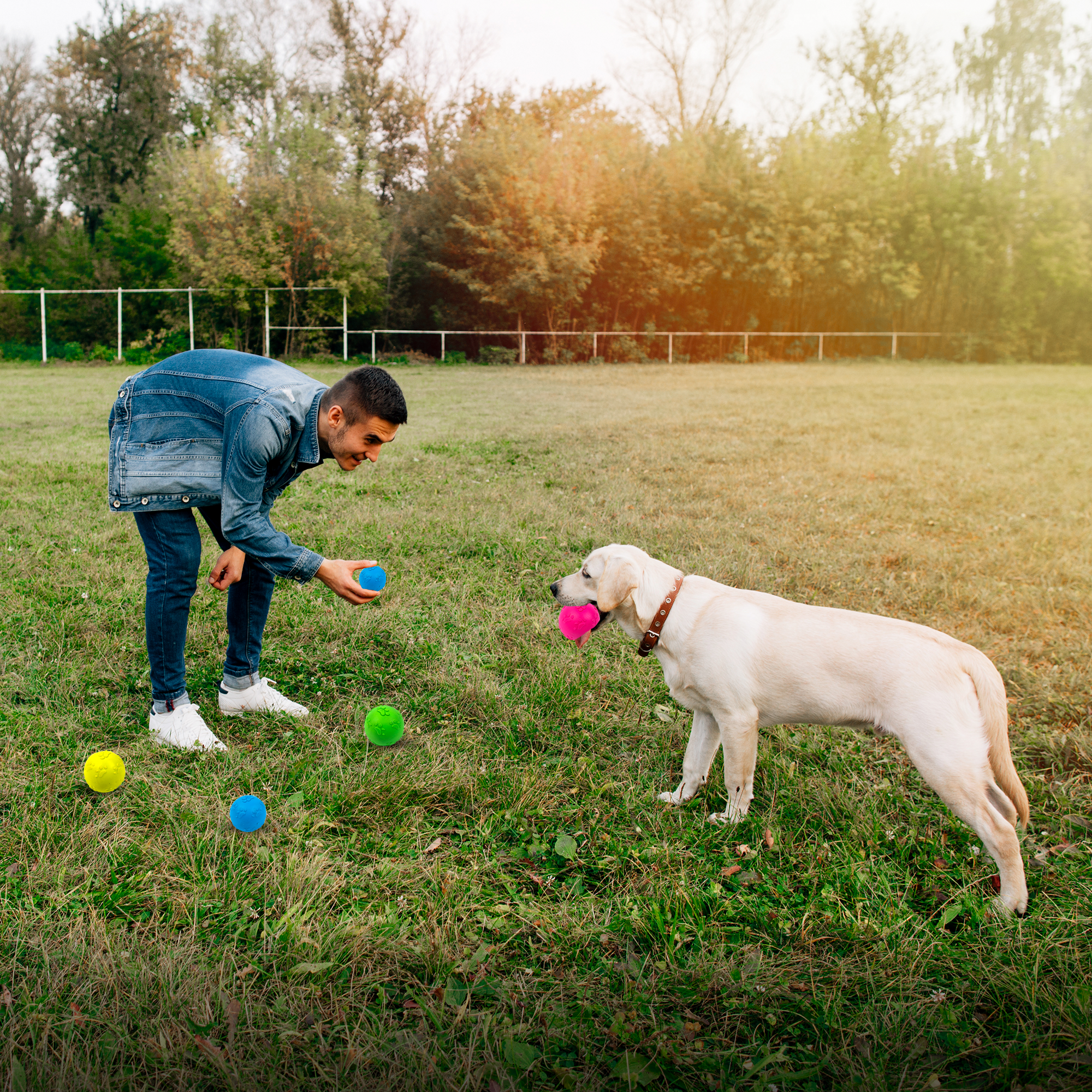 ADIL'S Natural Latex Dog Chews Ball Toy for Small to Medium Dogs & Puppies - Combo of 4
