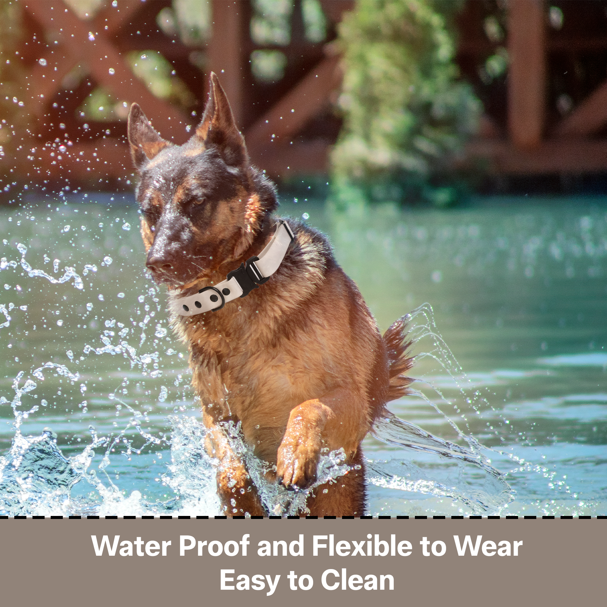 Adil’S Biothane Dog Collar - Waterproof Heavy Duty Dog Collars with Quick Release Buckle & D-Ring