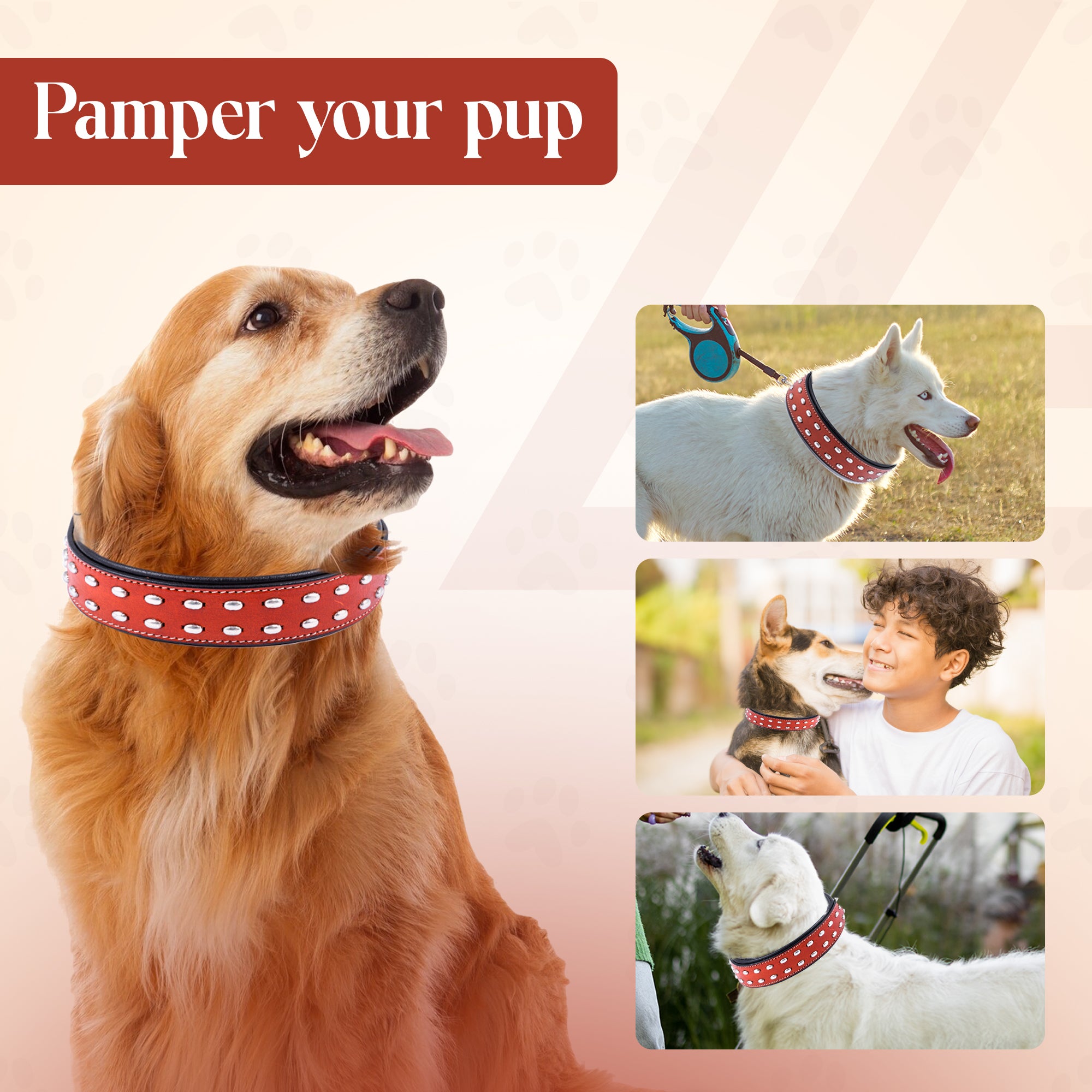 ADIL'S Studded Genuine Leather Dog Collar – Heavy-Duty, Padded, Adjustable 1.5" Width Dog Belt with D-Ring & Metal Buckle for Medium & Large Dogs