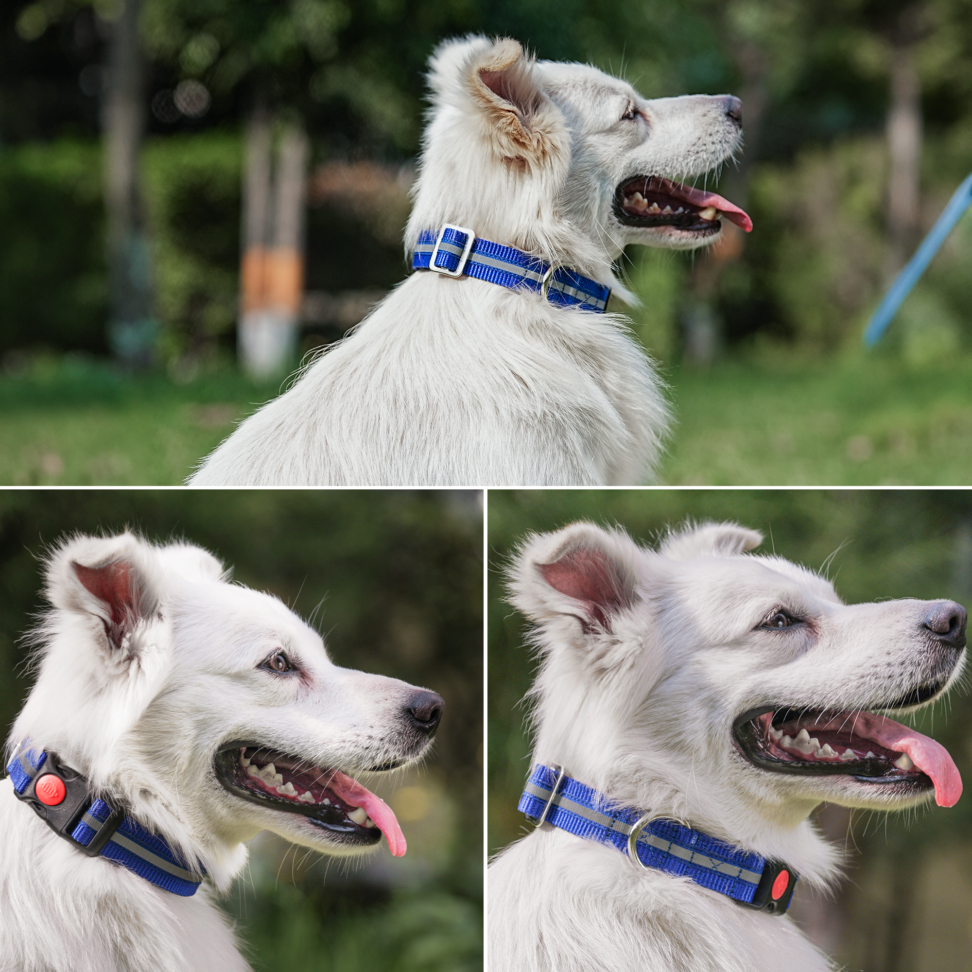 Nylon Reflective Dog Collar 1 inch Width - Adjustable Heavy Duty Pet Collars with Quick Release Buckle & D-Ring for leashes