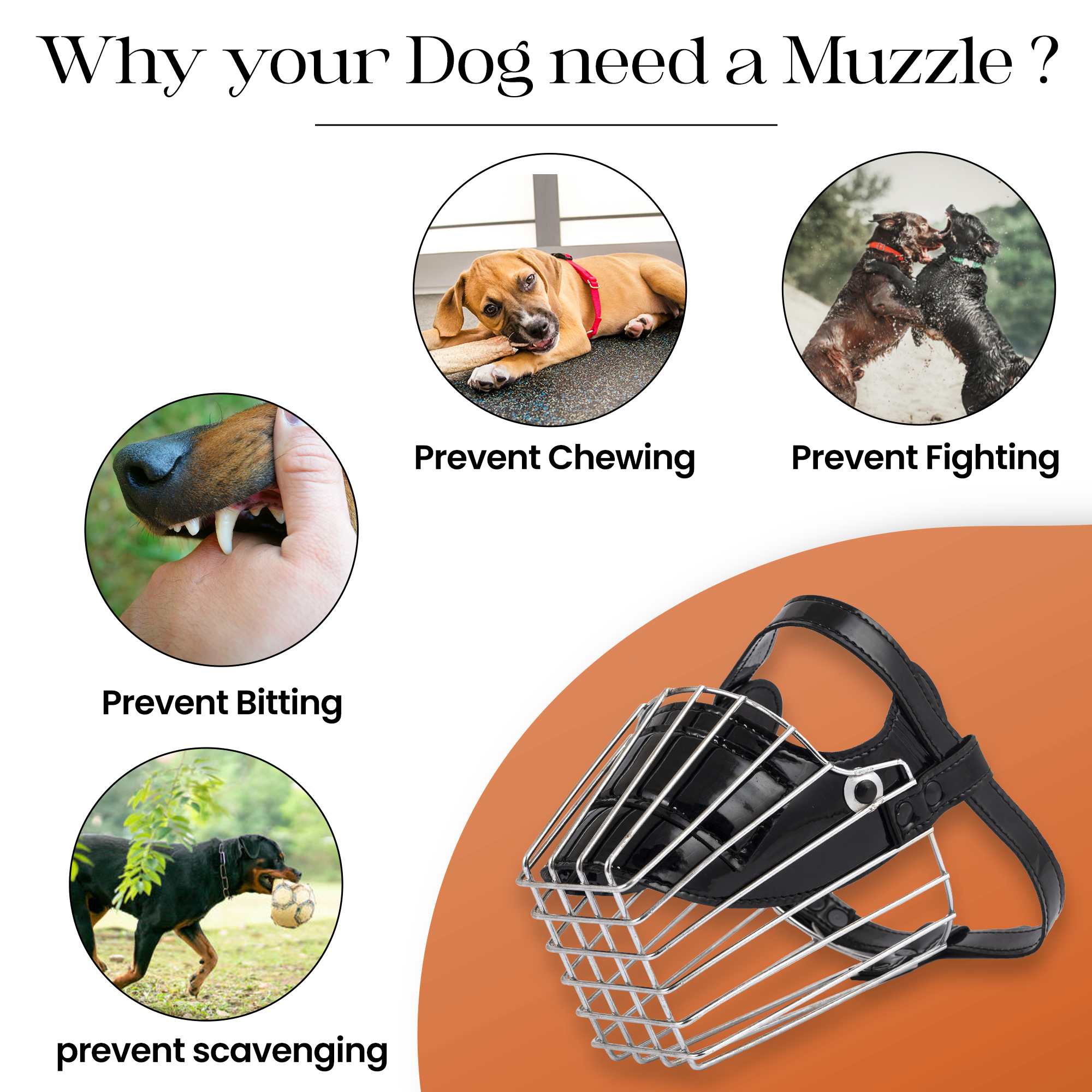 Adil's Soft Padded Steel Dog Muzzle – Comfortable & Durable Safety Solution