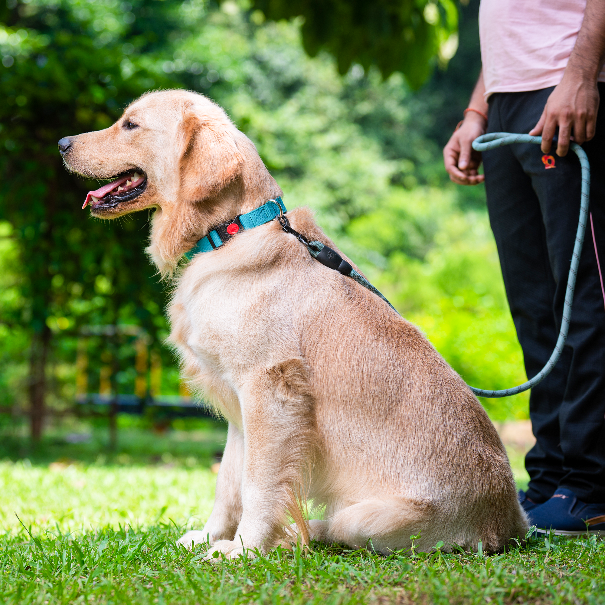 Adil's Nylon Dog Collar & Reflective Leash Set - Soft Padded, 5ft for All Breeds