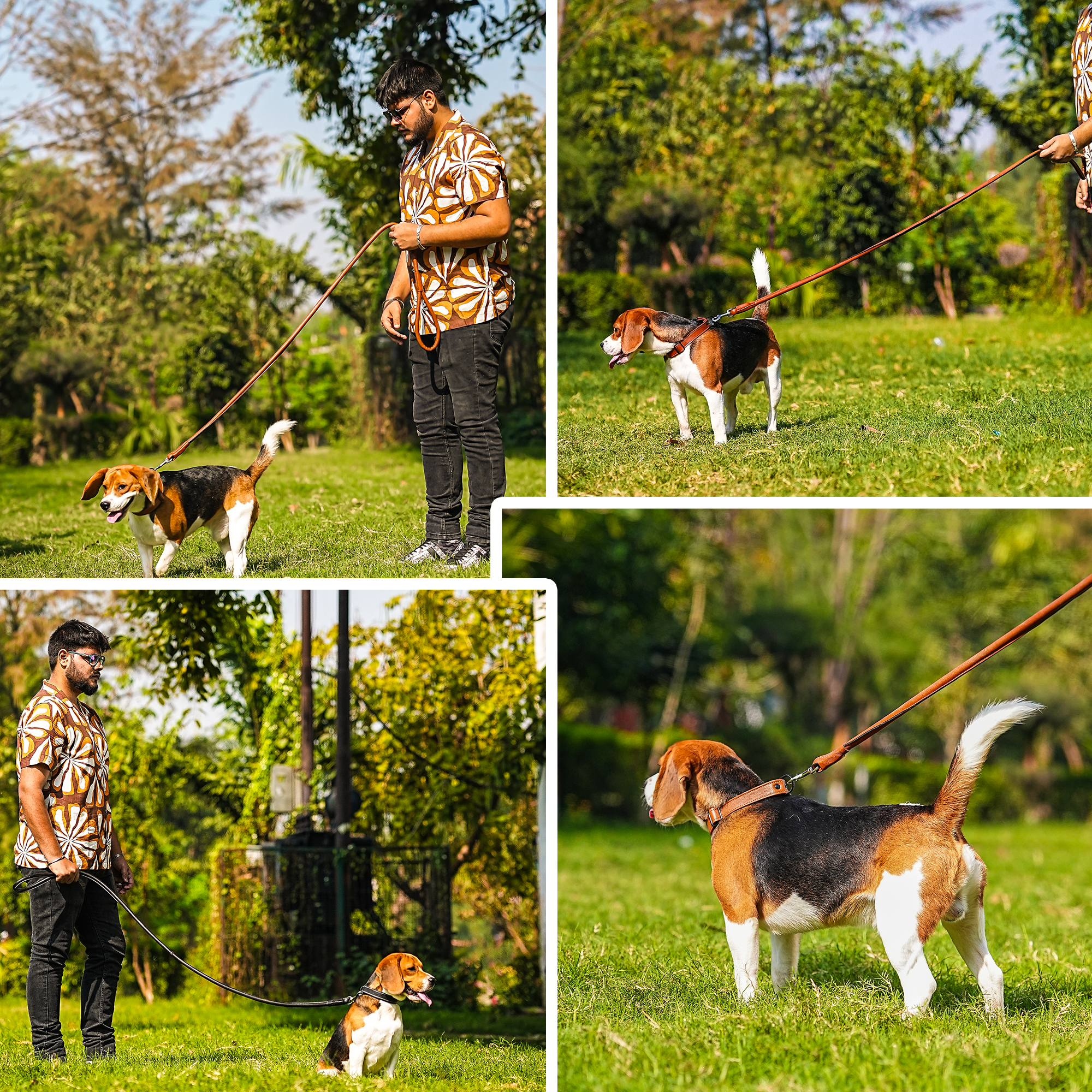 Adil's Softy Leather Dog Collar & Leash Set