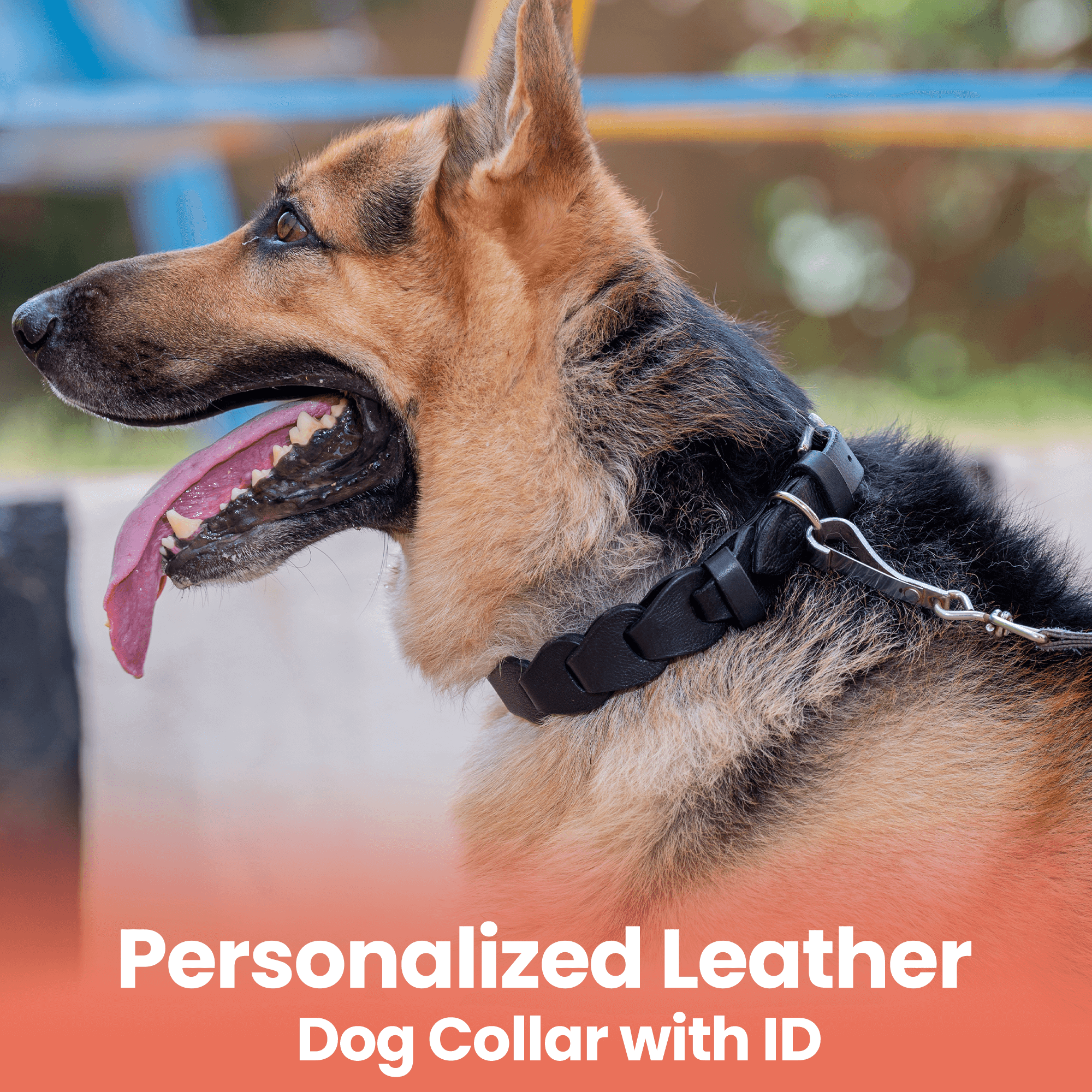 Adil's Leather Personalized Dog Collar (Softy Leather) – 1.5 Inch Wide