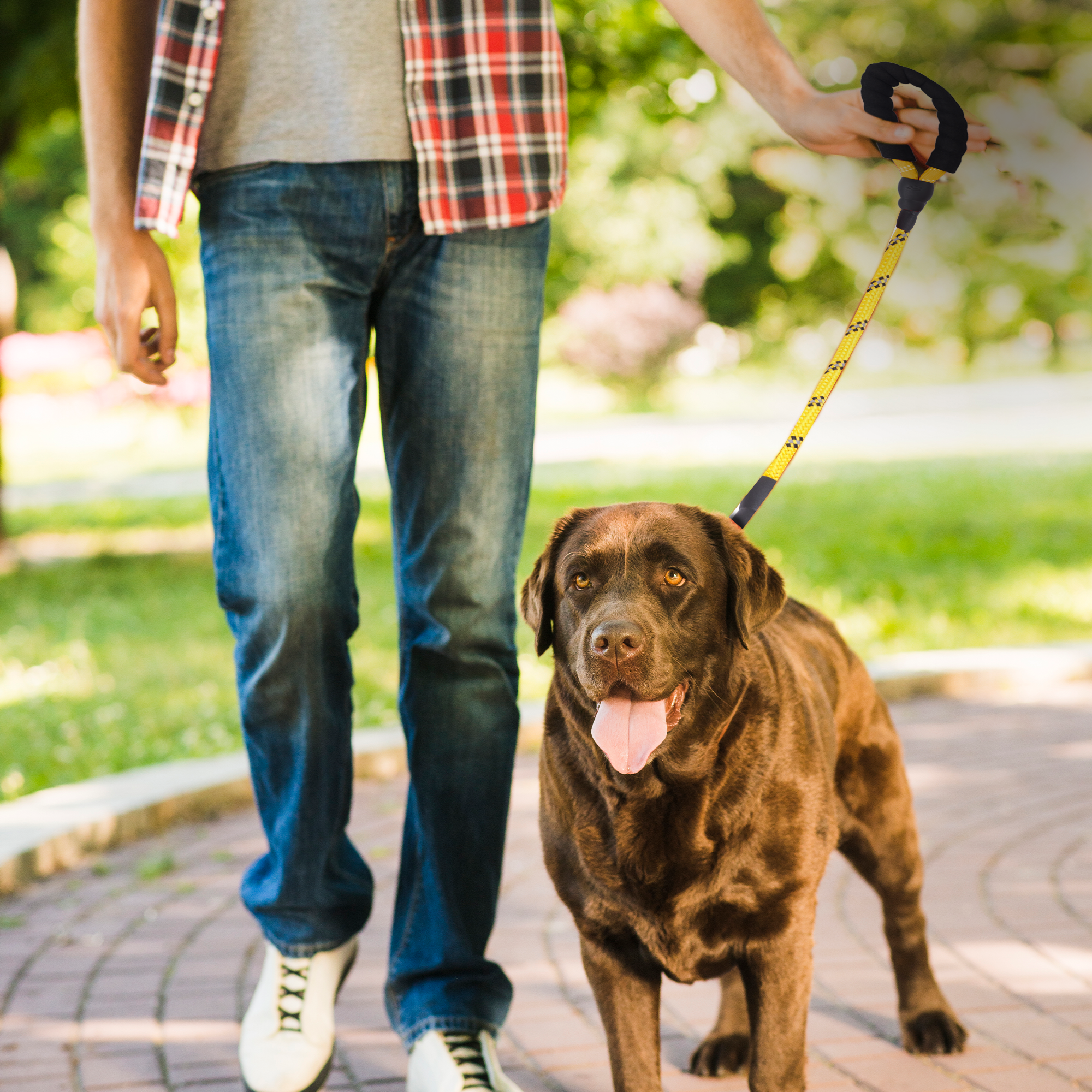 ADIL’S Heavy Duty Nylon Dog Leash, Reflective Dog Leash for Medium & Large Dogs (5 Feet)