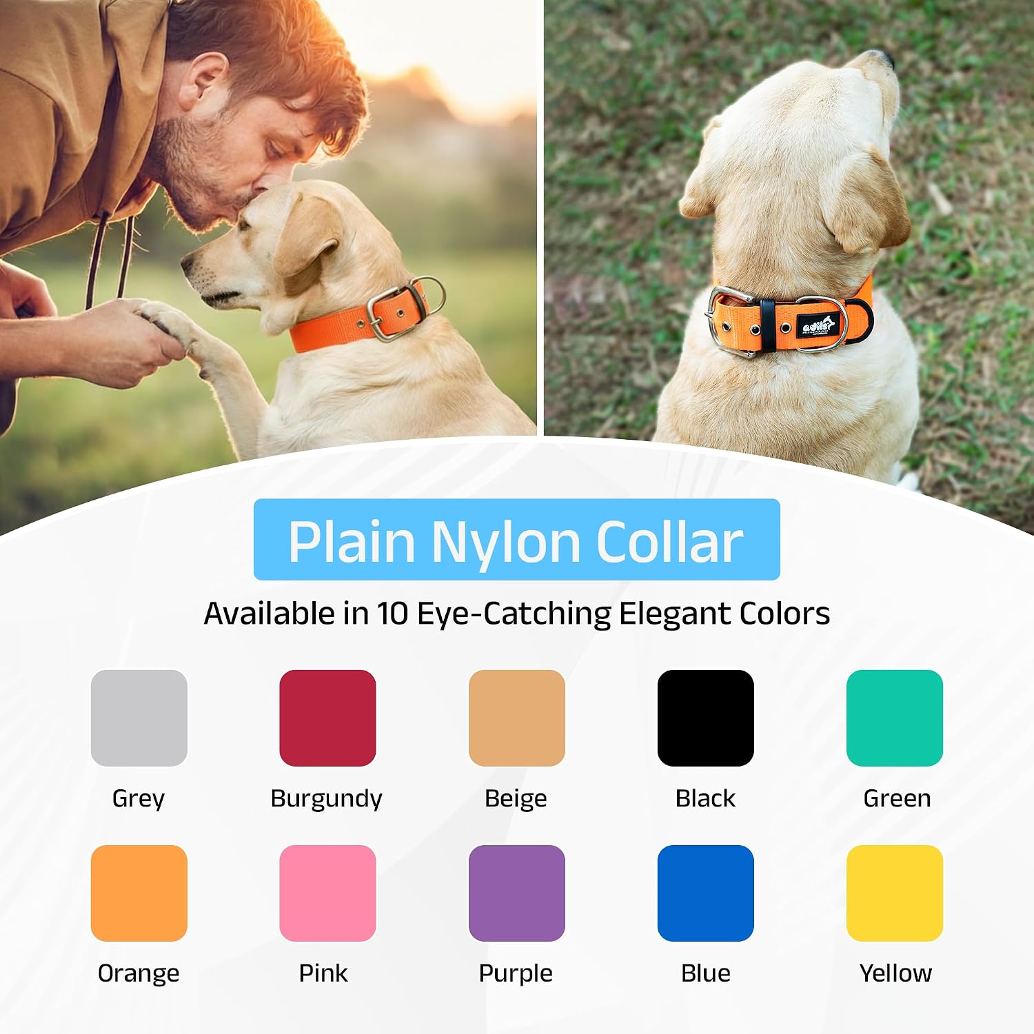 ADIL's Nylon Dog Collar – 1.5 Inch Wide Heavy-Duty Neckbelt with Metal Buckle D-Ring, Adjustable Safety Strap Small Medium Large Pets for Outdoor Walking Training