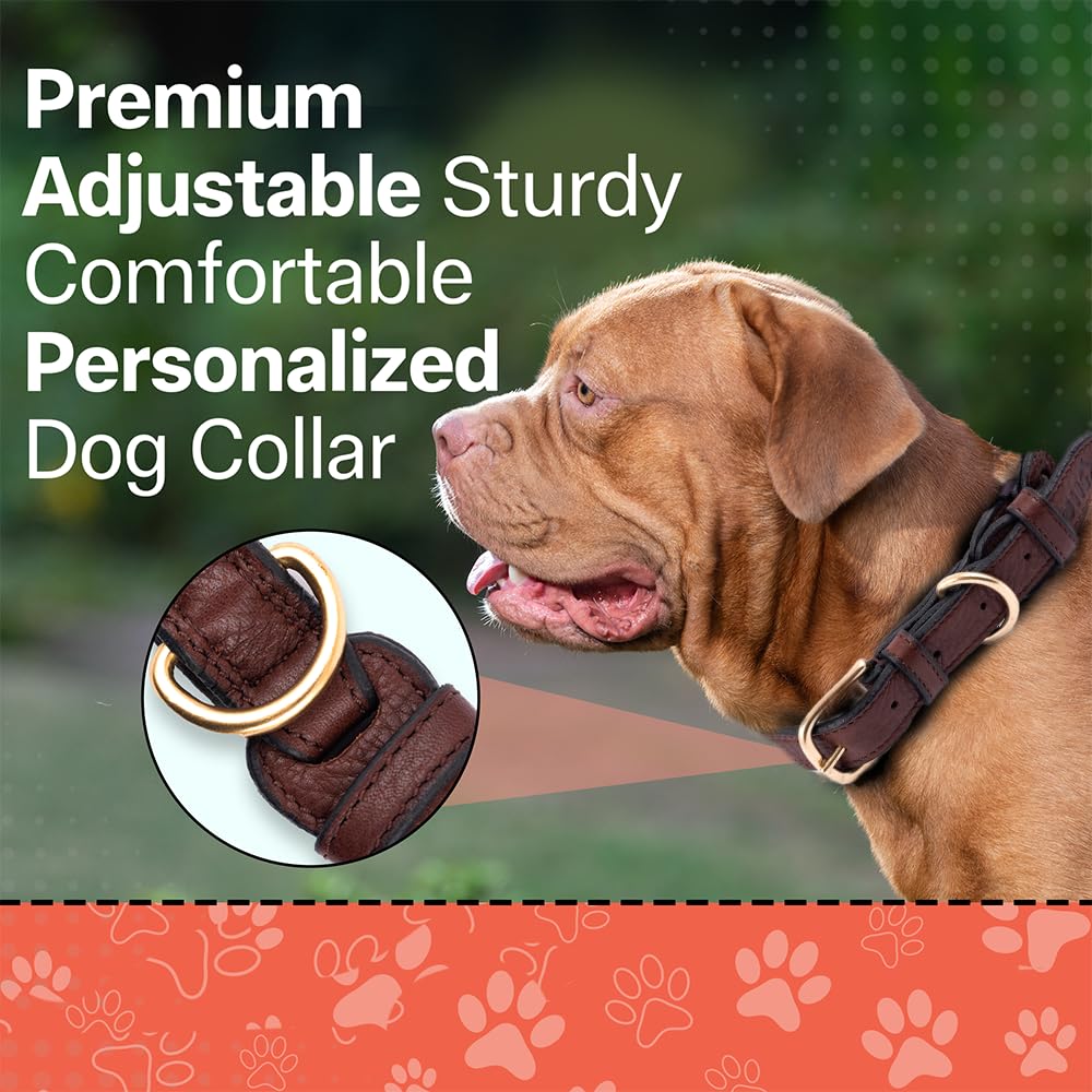 Adil’S Soft Leather Personalized Dog Collar for Large Medium Small Dogs Neck Collar with Personalized Dog Name in Neck Size 12 Inch to 26 Inch