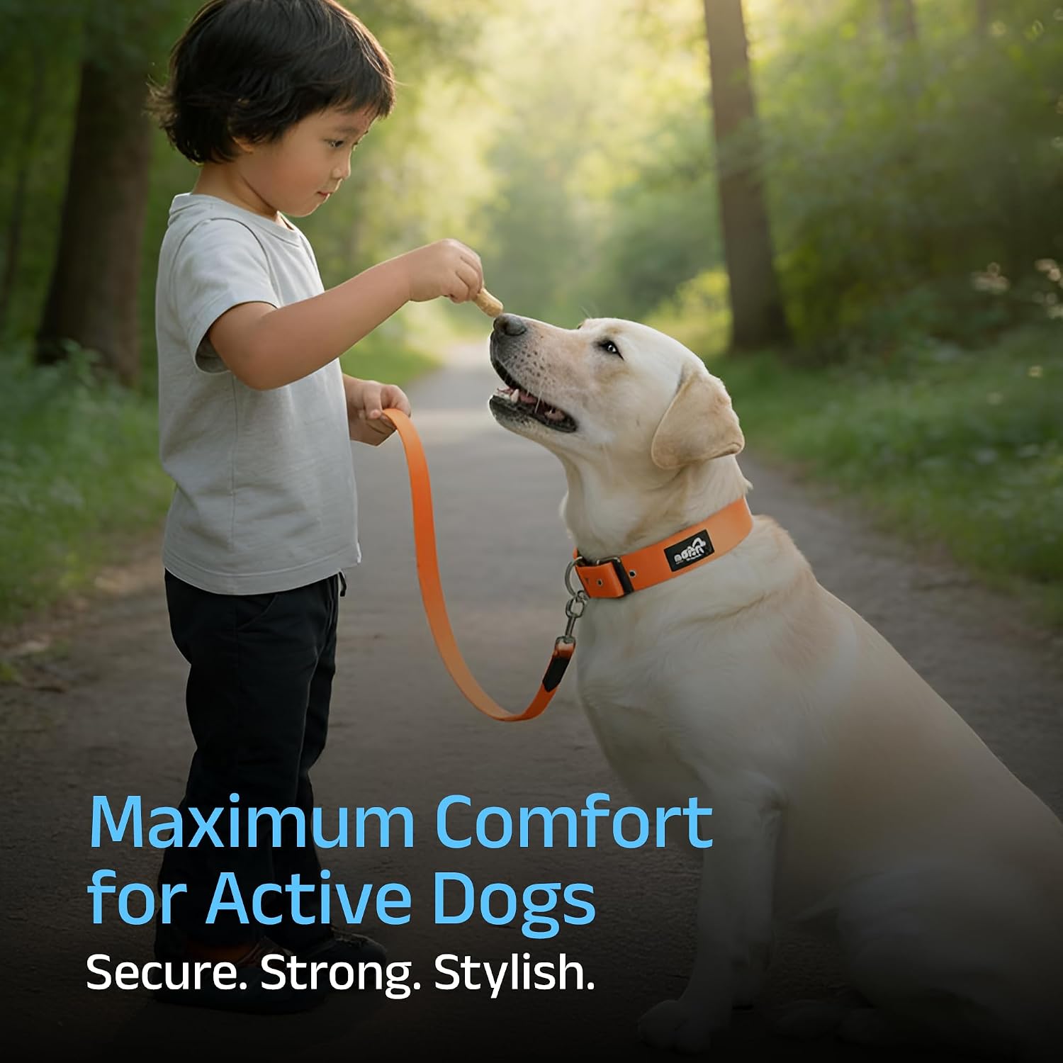 ADIL's Nylon Dog Collar – 1.5 Inch Wide Heavy-Duty Neckbelt with Metal Buckle D-Ring, Adjustable Safety Strap Small Medium Large Pets for Outdoor Walking Training