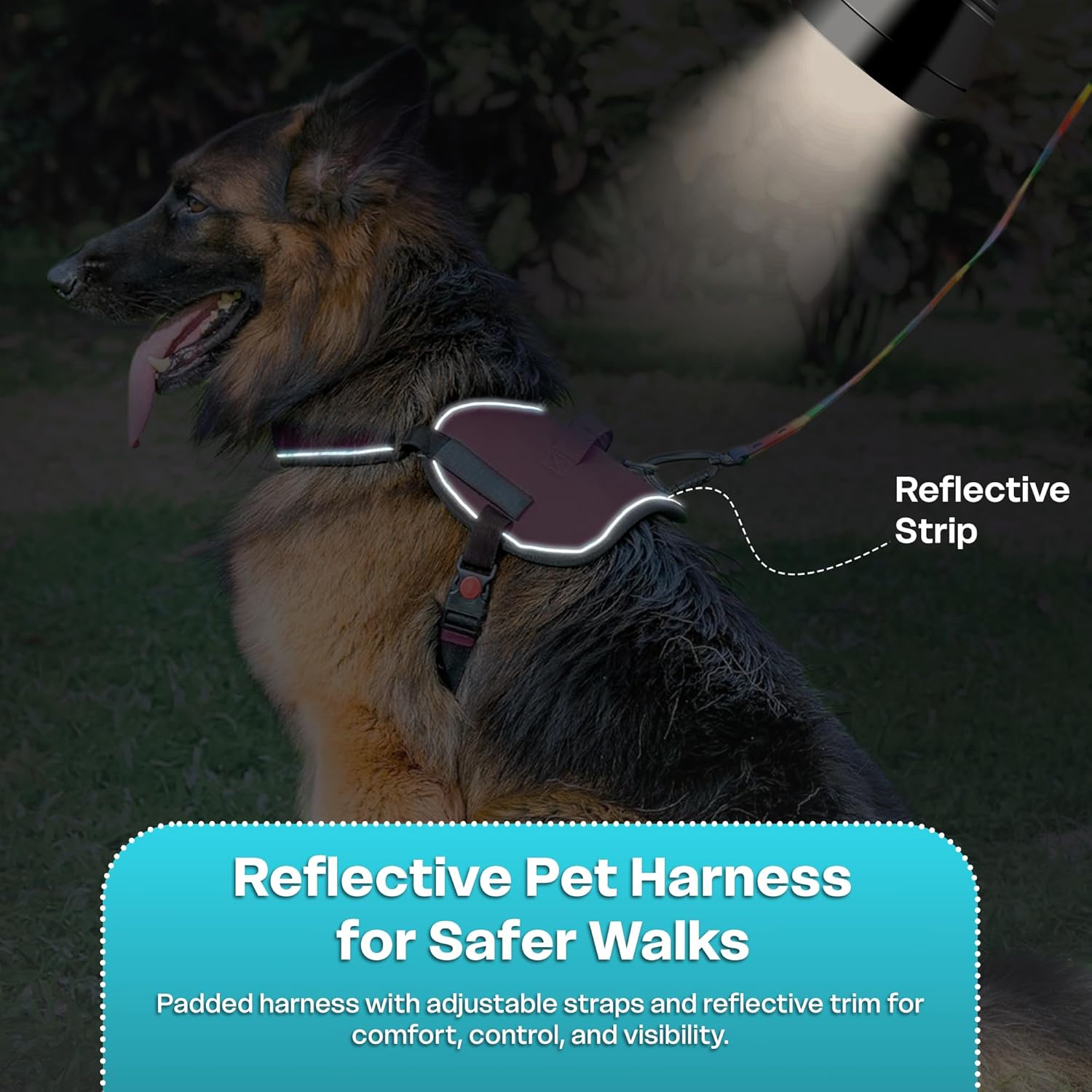 Adil’S No Pull Reflective Dog Harness – Adjustable Soft Dog Harness Set for Small Medium & Large Dogs for Outdoor Activity