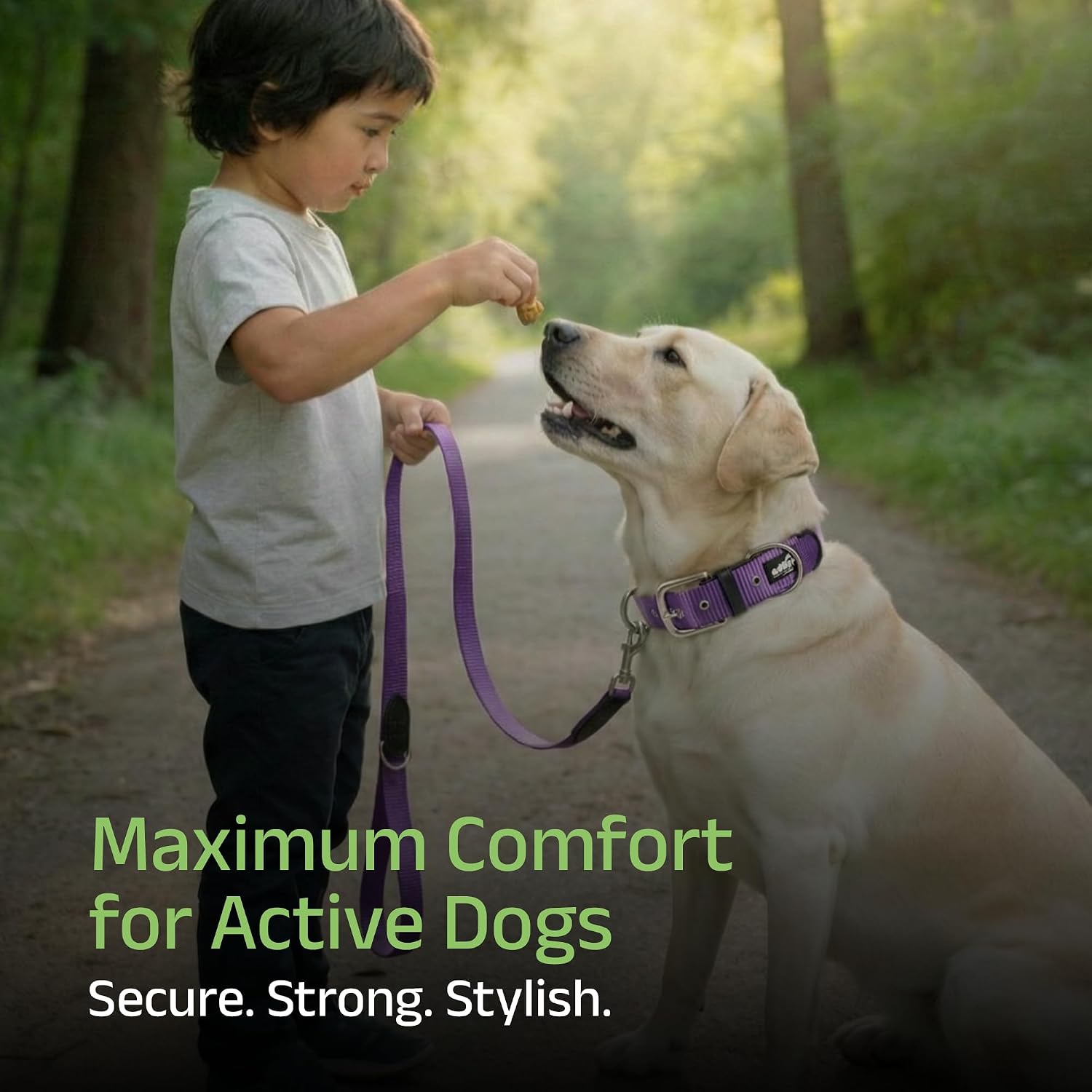 ADIL's Nylon Dog Collar – 1.5 Inch Wide Heavy-Duty Neckbelt with Metal Buckle D-Ring, Adjustable Safety Strap Small Medium Large Pets for Outdoor Walking Training