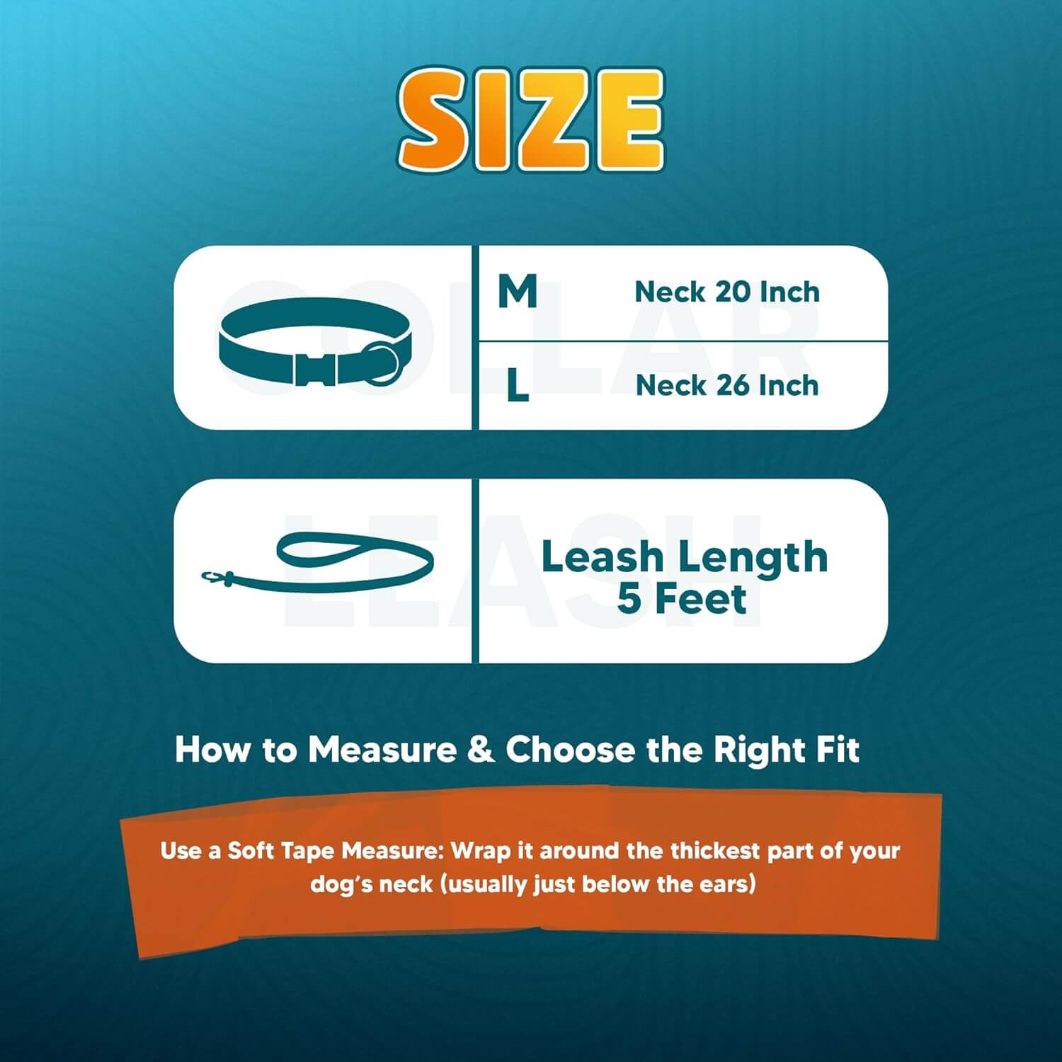 Biothane Combo Dog Collar & Leash