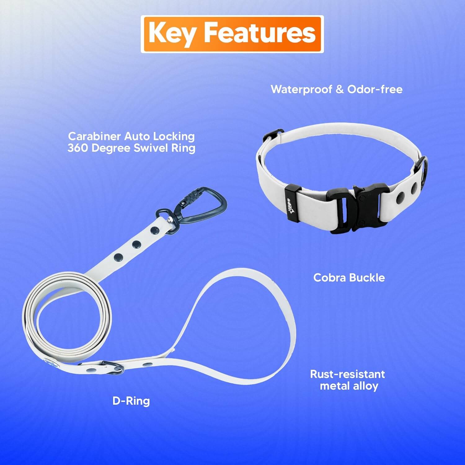 Biothane Combo Dog Collar & Leash