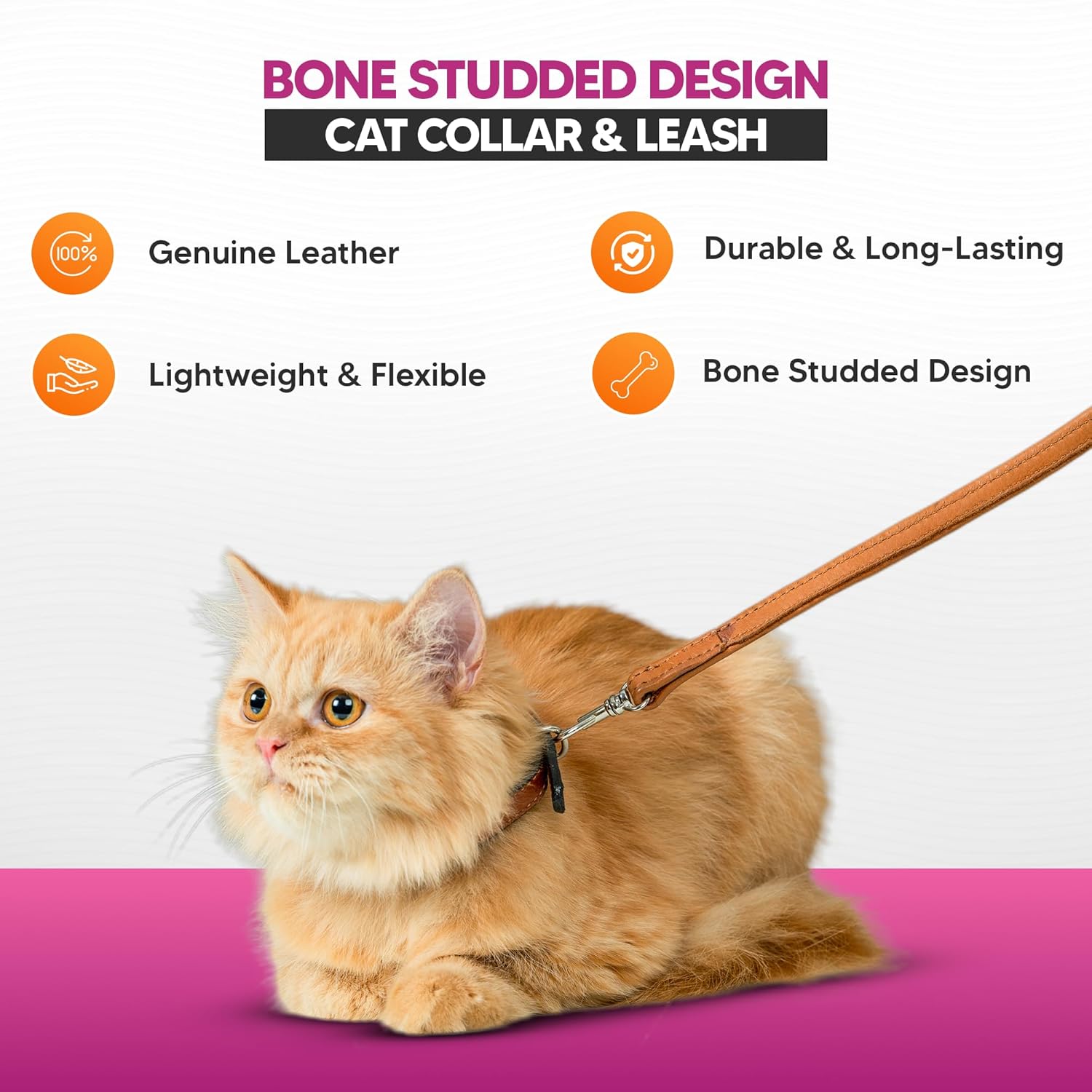 Adil’S Leather Cat Collar & Leash Set Combo - Stylish Single Bone Studded Design Collar, Genuine Leather, Adjustable Buckle & Secure 5ft Leash for Outdoor Activity (Brown)