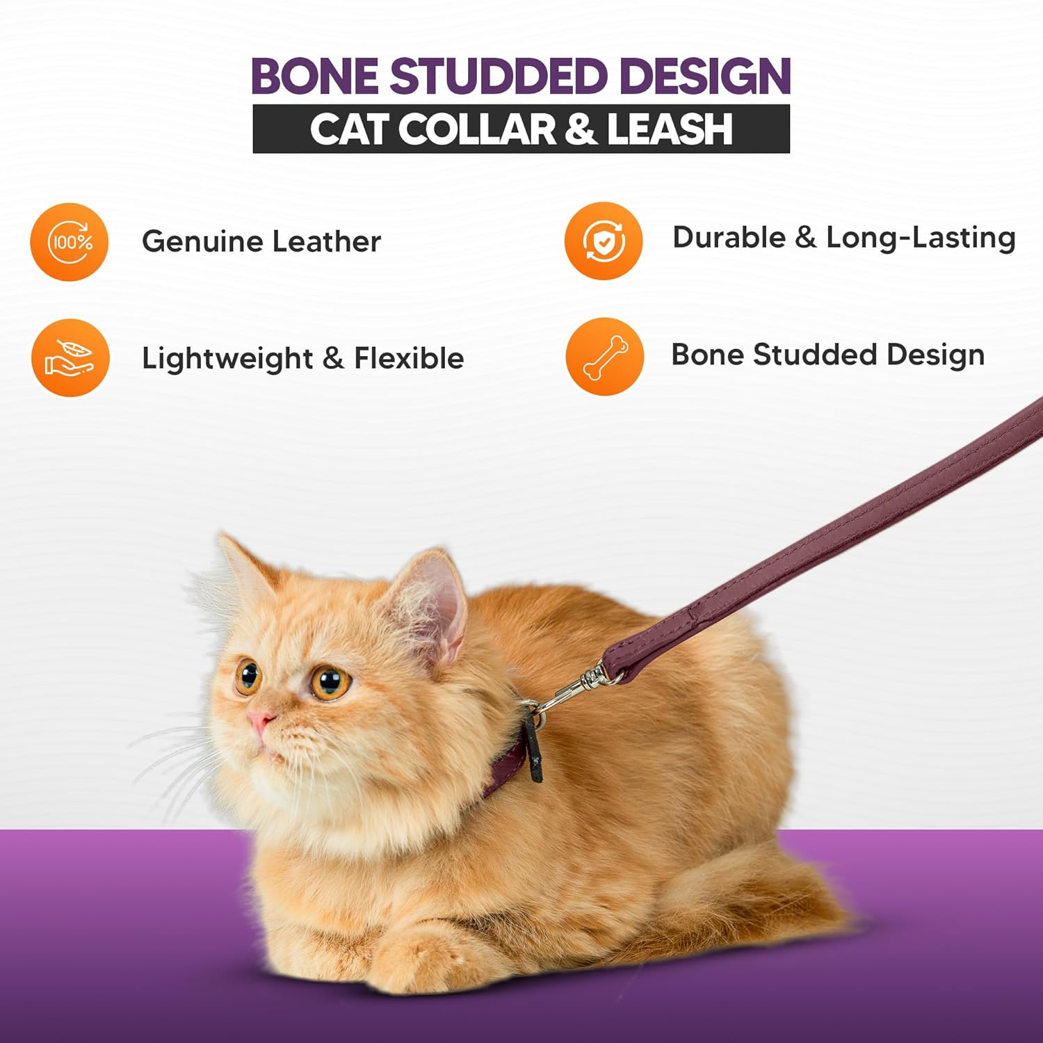 Adil’S Leather Cat Collar & Leash Set Combo - Stylish Single Bone Studded Design Collar, Genuine Leather, Adjustable Buckle & Secure 5ft Leash for Outdoor Activity (Brown)