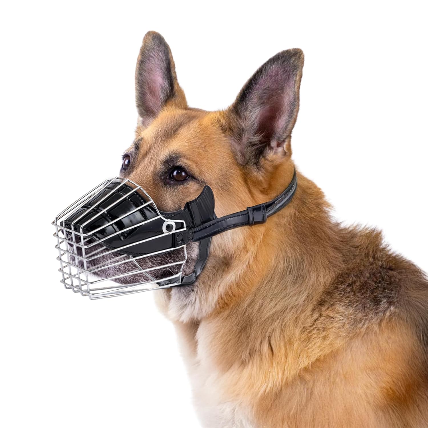 Adil's Soft Padded Steel Dog Muzzle – Comfortable & Durable Safety Solution