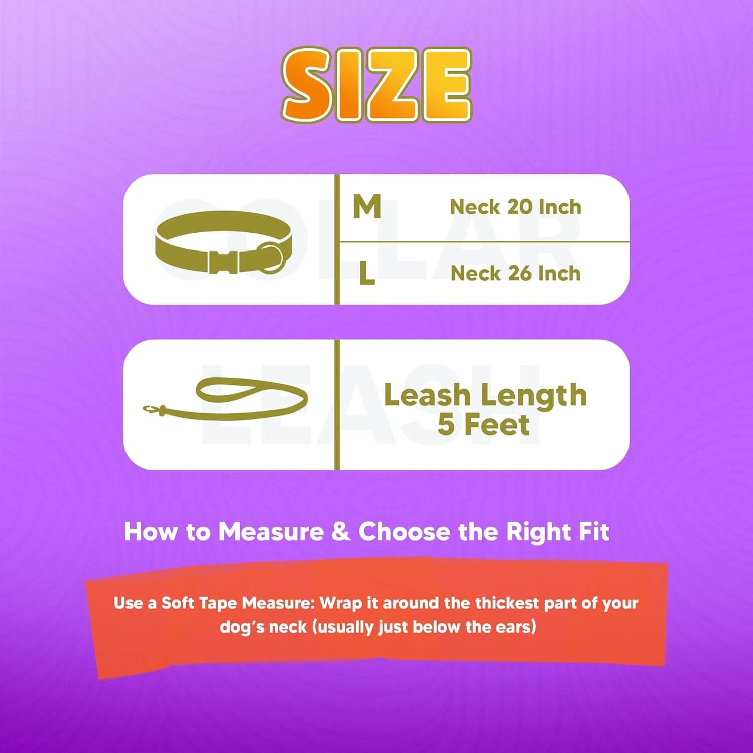 Biothane Combo Dog Collar & Leash