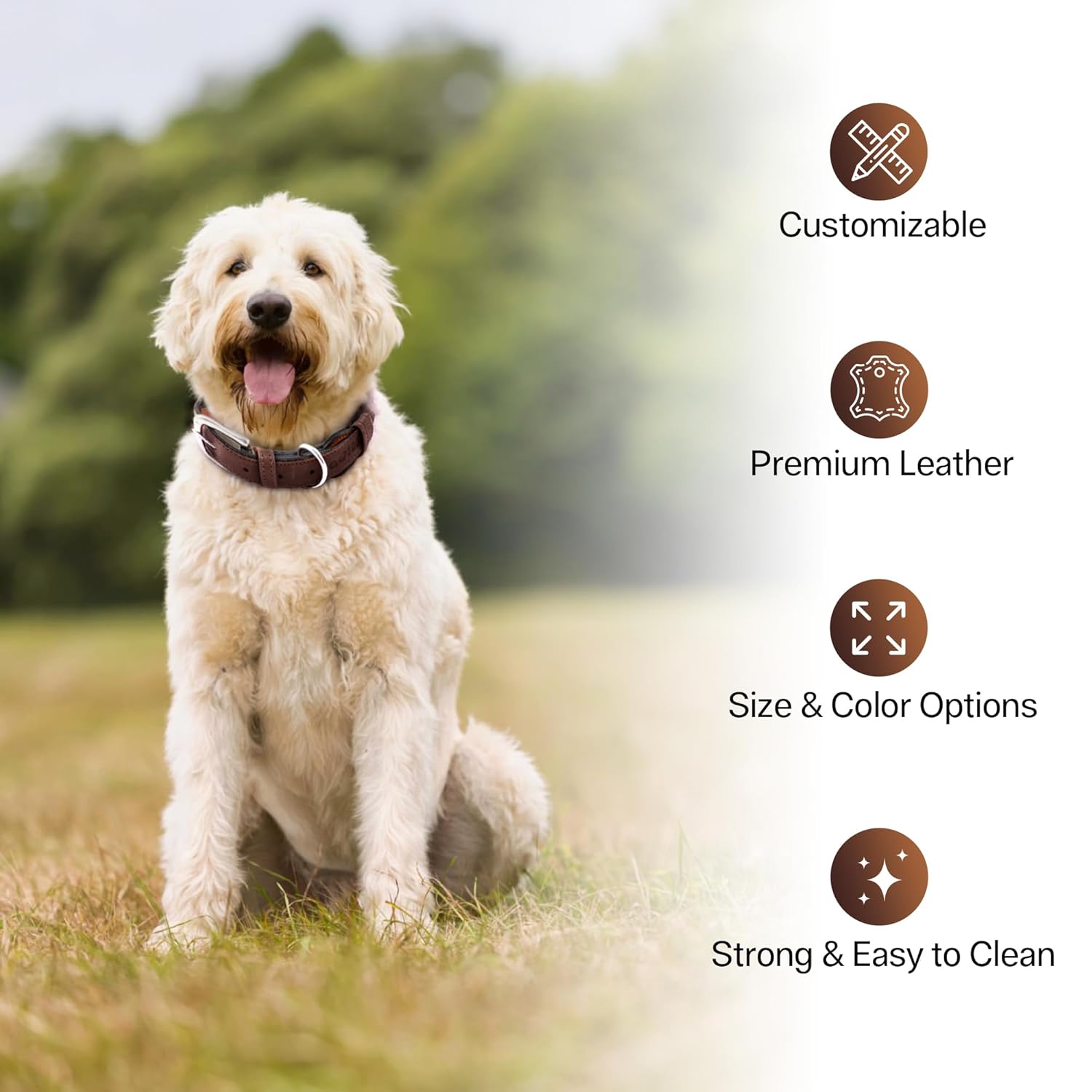 Adil’S Genuine Leather Loop Dog Collar – Handmade, Heavy-Duty, Soft Padded & Adjustable – Durable Braided Leather Collar Dogs