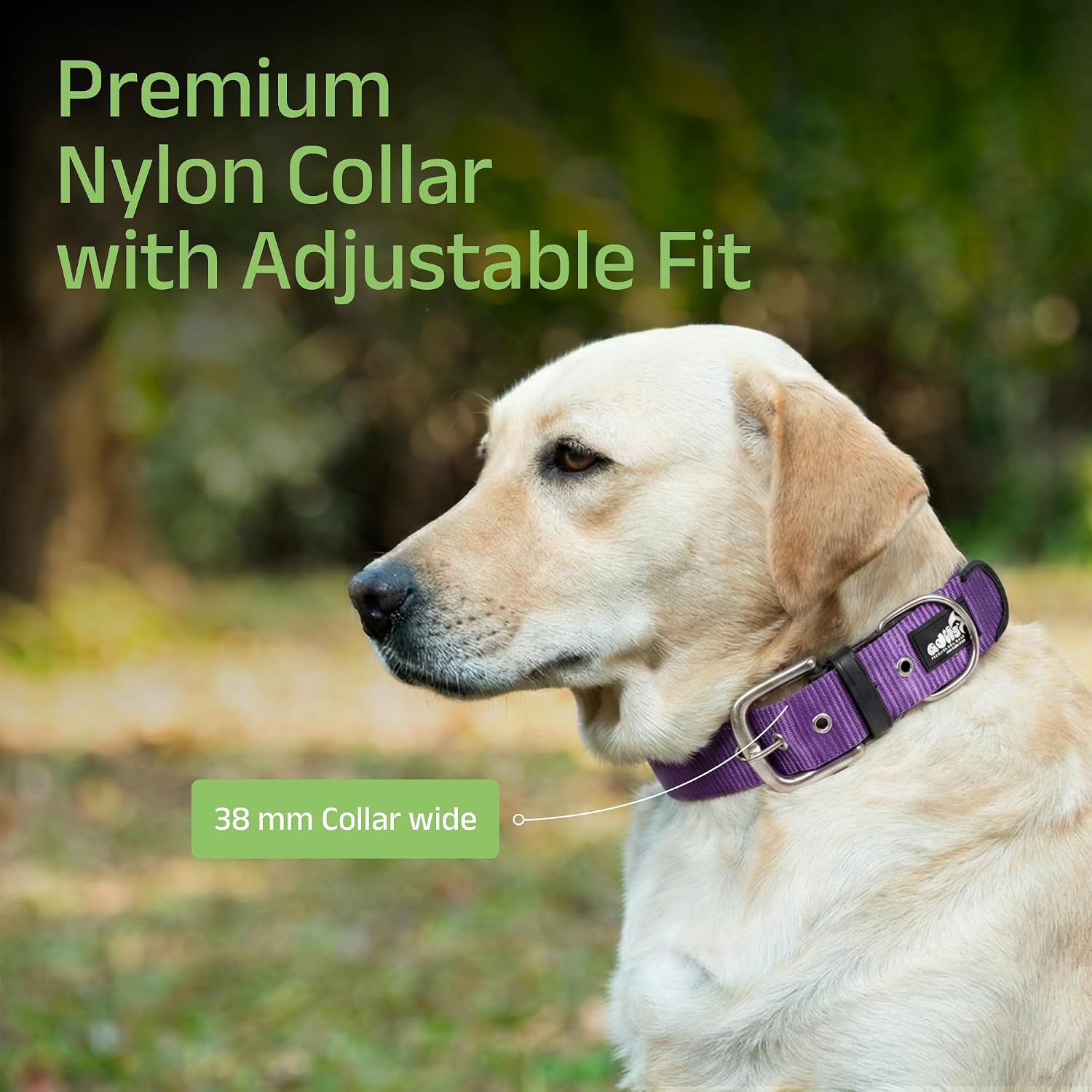 ADIL's Nylon Dog Collar – 1.5 Inch Wide Heavy-Duty Neckbelt with Metal Buckle D-Ring, Adjustable Safety Strap Small Medium Large Pets for Outdoor Walking Training