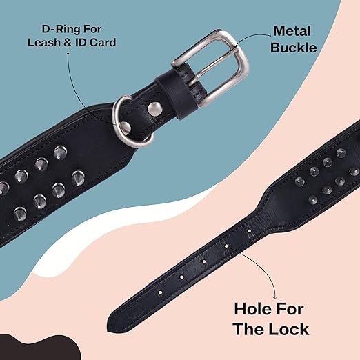 2-Inch Wide Spiked Leather Dog Collar for Pitbulls, Mastiffs, Street Hounds, and Huskies
