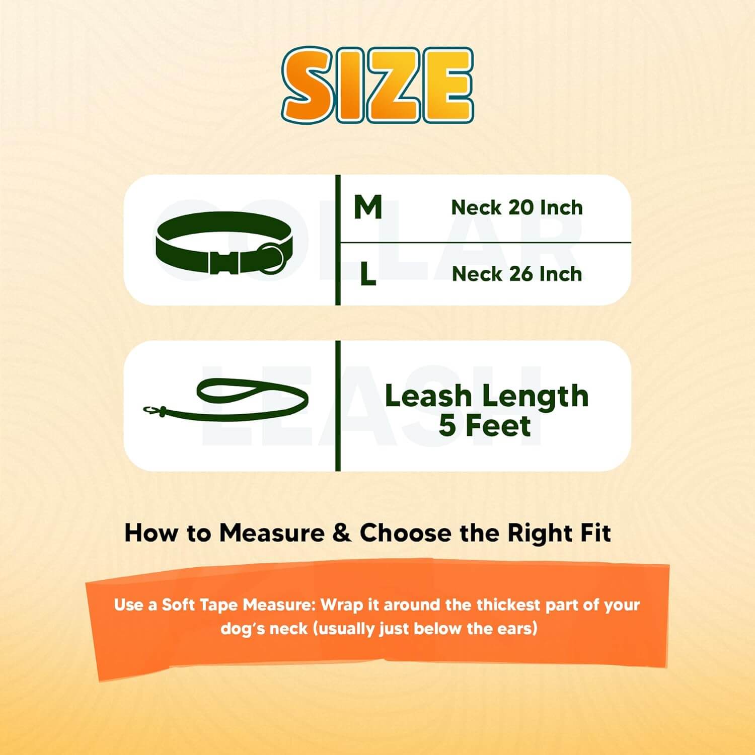 Biothane Combo Dog Collar & Leash