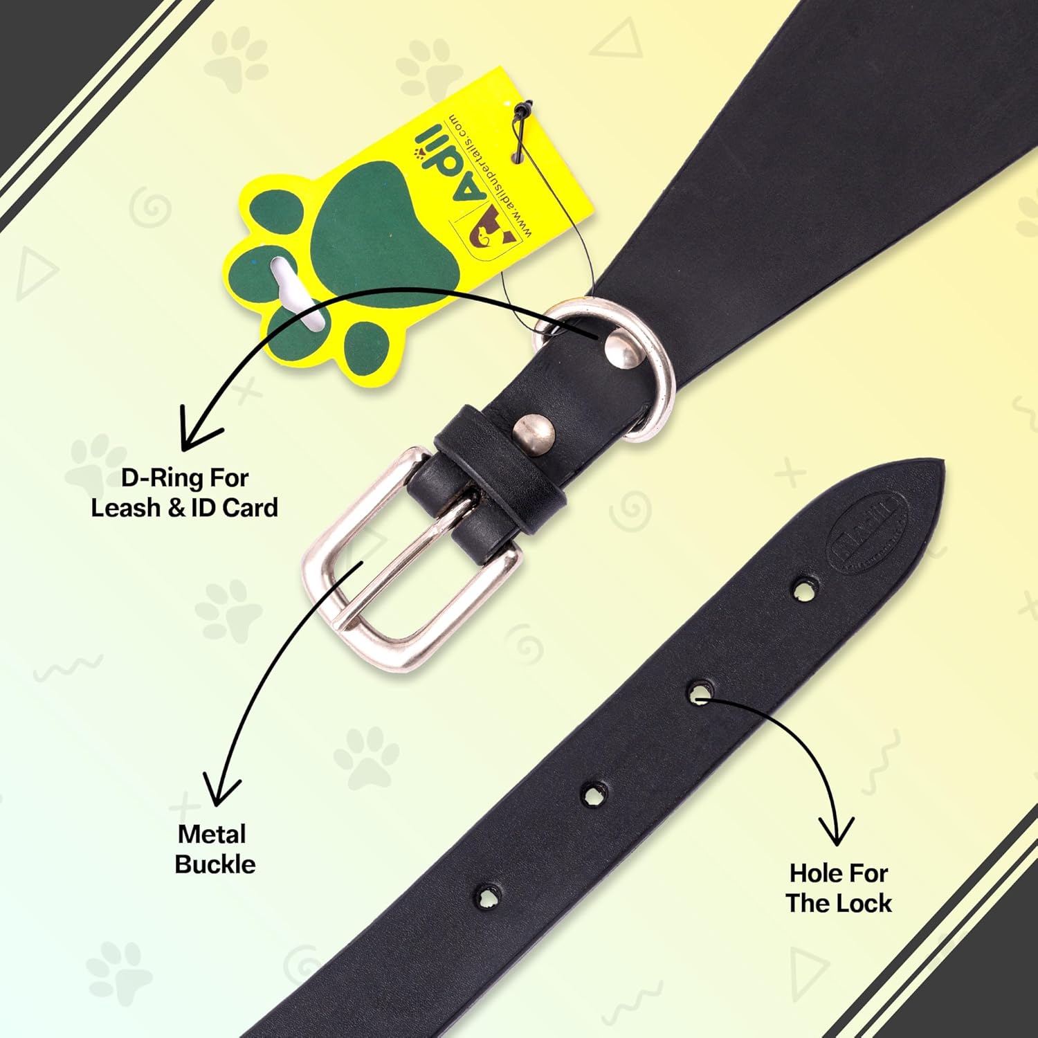 Adil's Leather Dog Collar for Greyhound, Saluki, and Whippet Dogs