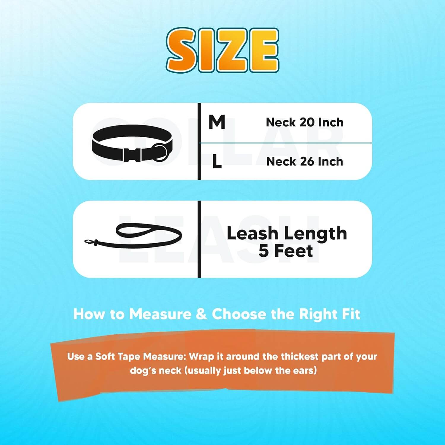 Biothane Combo Dog Collar & Leash