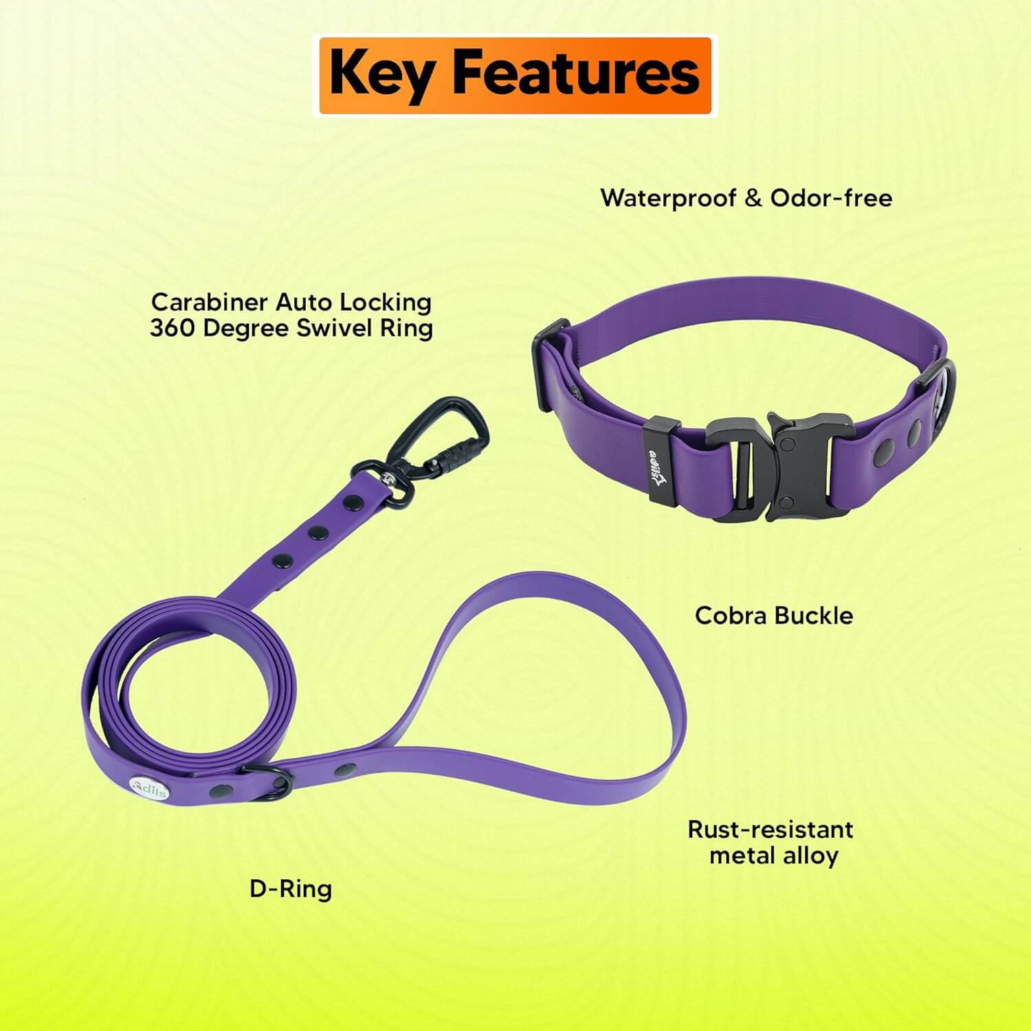 Biothane Combo Dog Collar & Leash