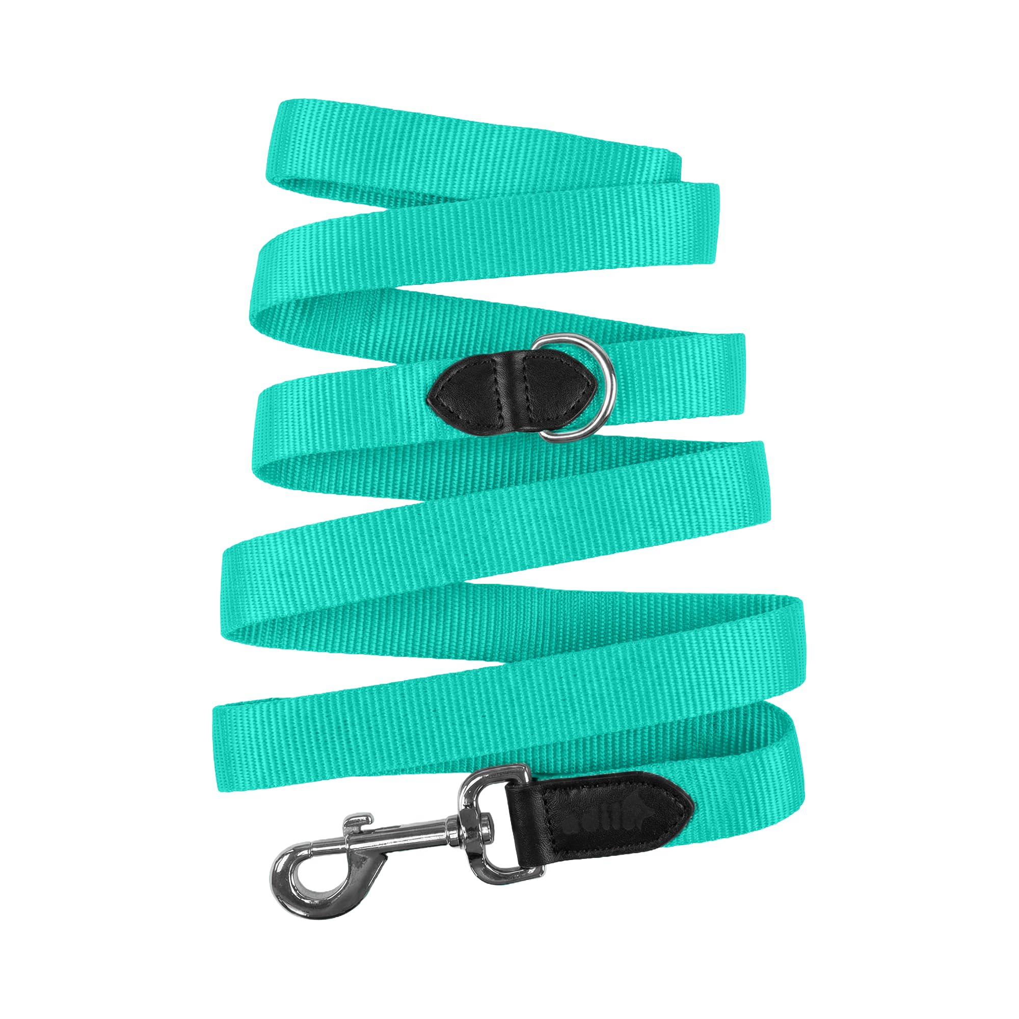 ADIL's Nylon Dog Leash, Heavy Duty Walking Lead with 360° Swivel Metal Hook 1.5 Inch Wide Durable Training Cord with Comfortable Loop Handle for Medium Large Dogs